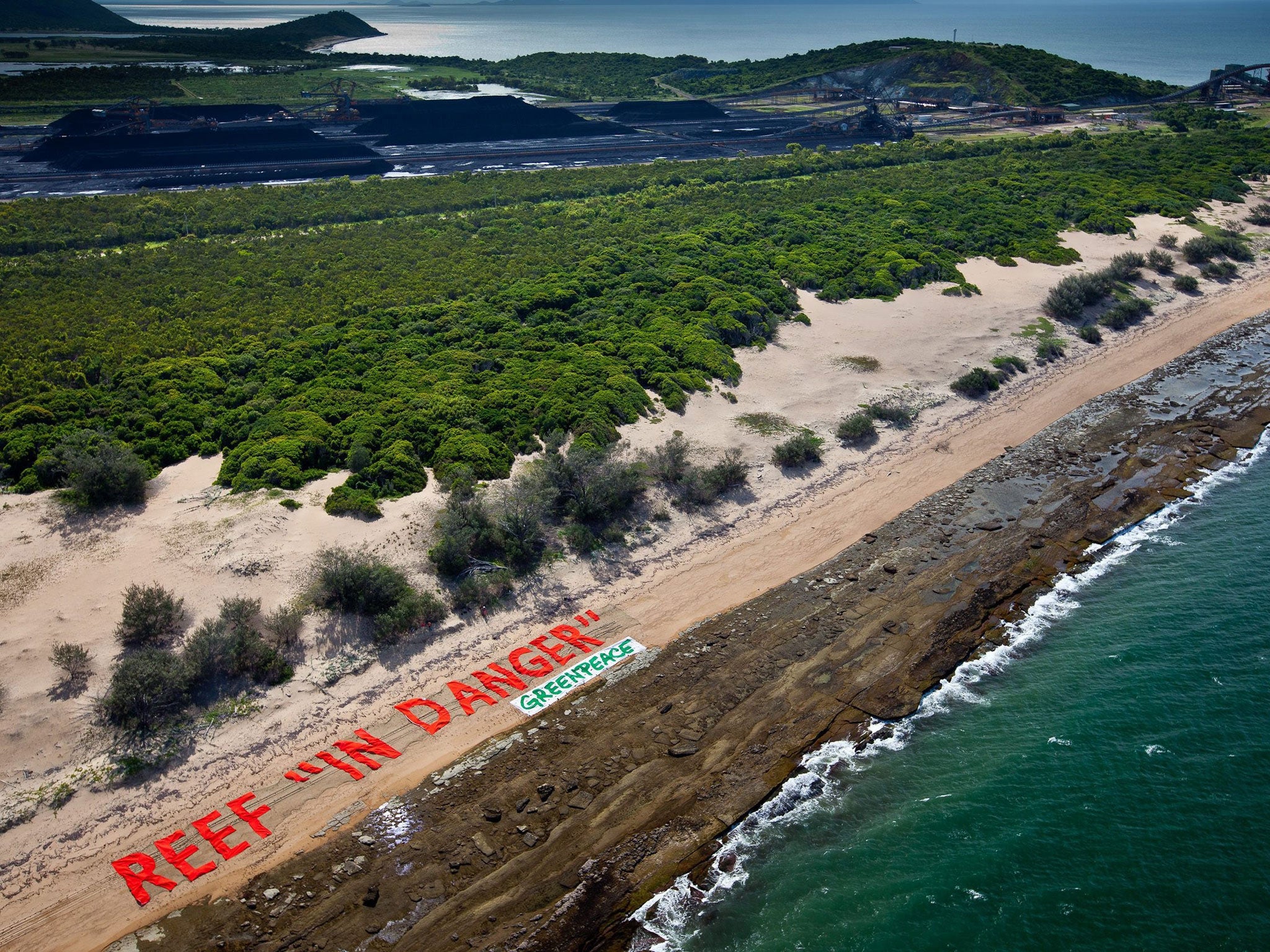 Greenpeace says there are now serious concerns the Great Barrier Reef could be listed as 'in danger' by UNESCO's World Heritage Committee