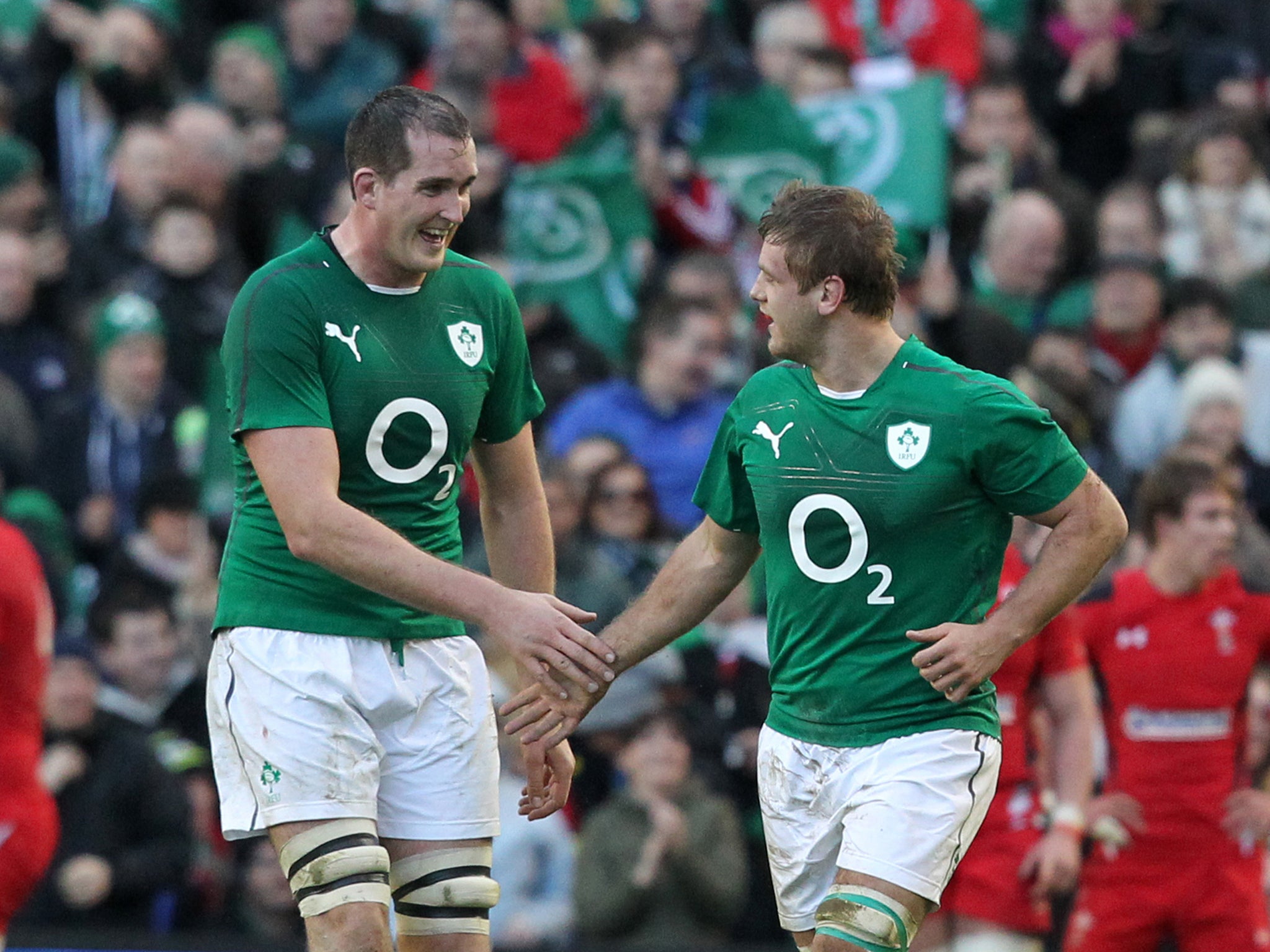 Ireland players celebrate after their victory over Wales