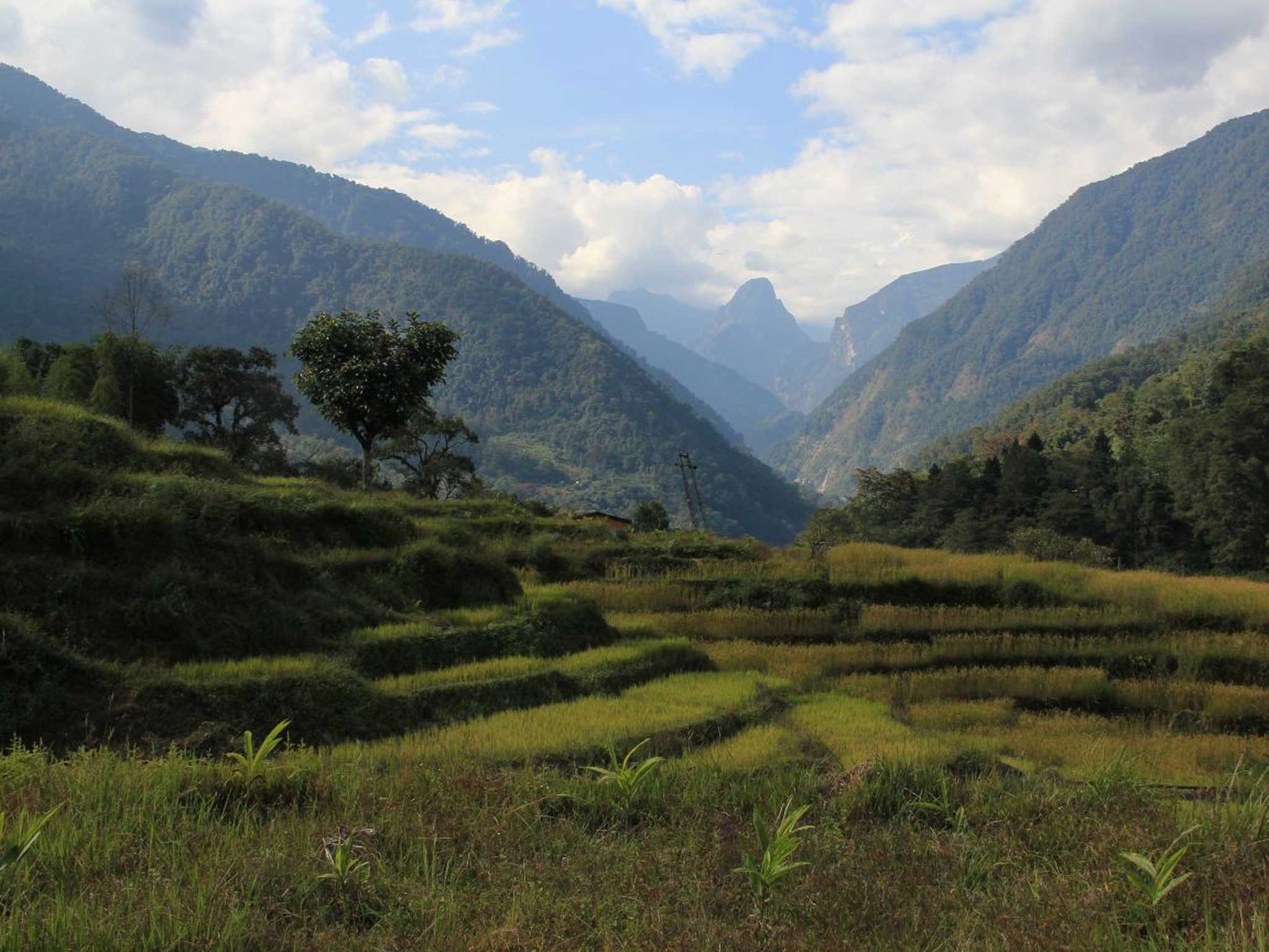 A green and pleasant land: India