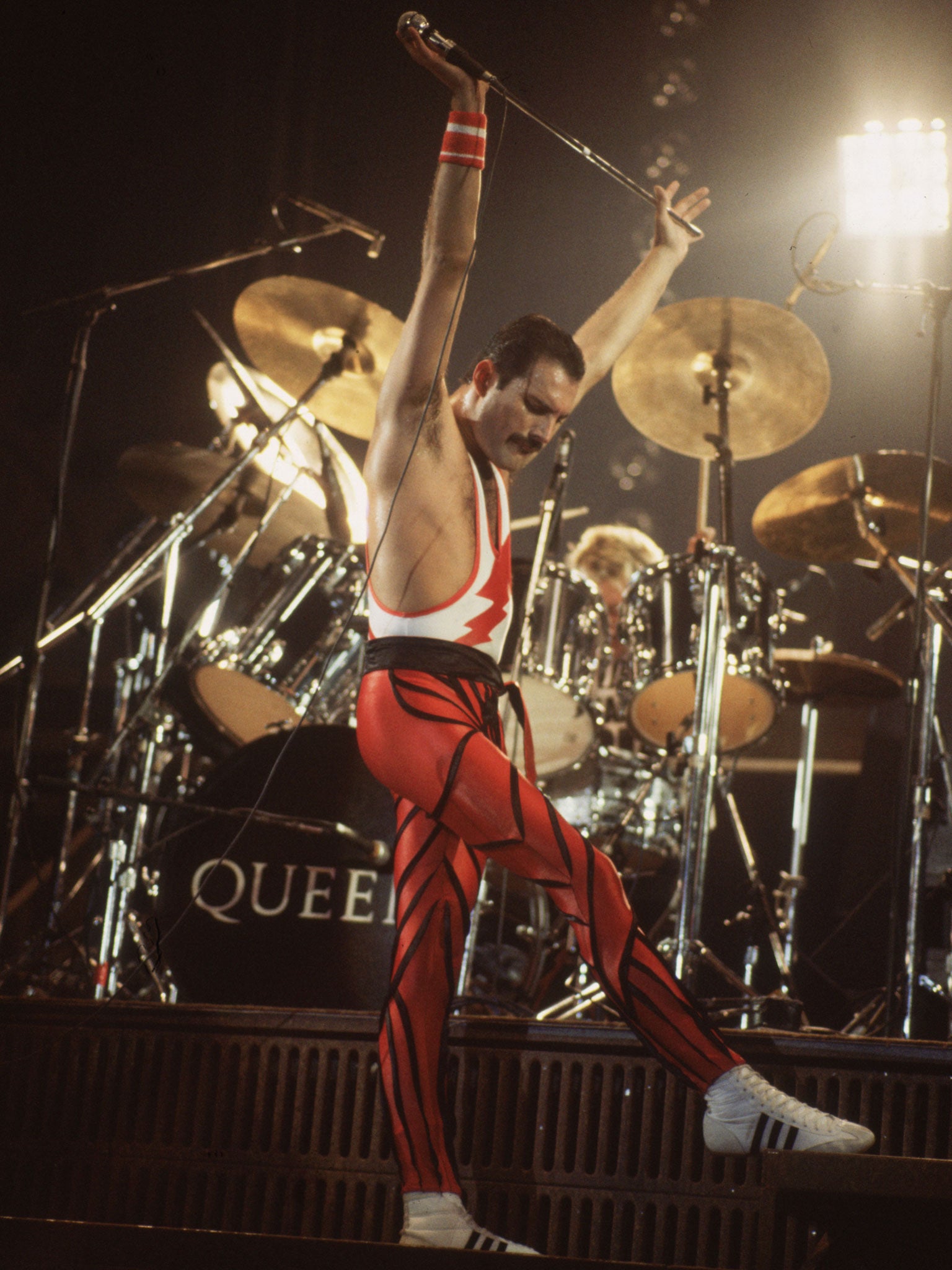 Queen frontman Freddie Mercury, who died in 1991