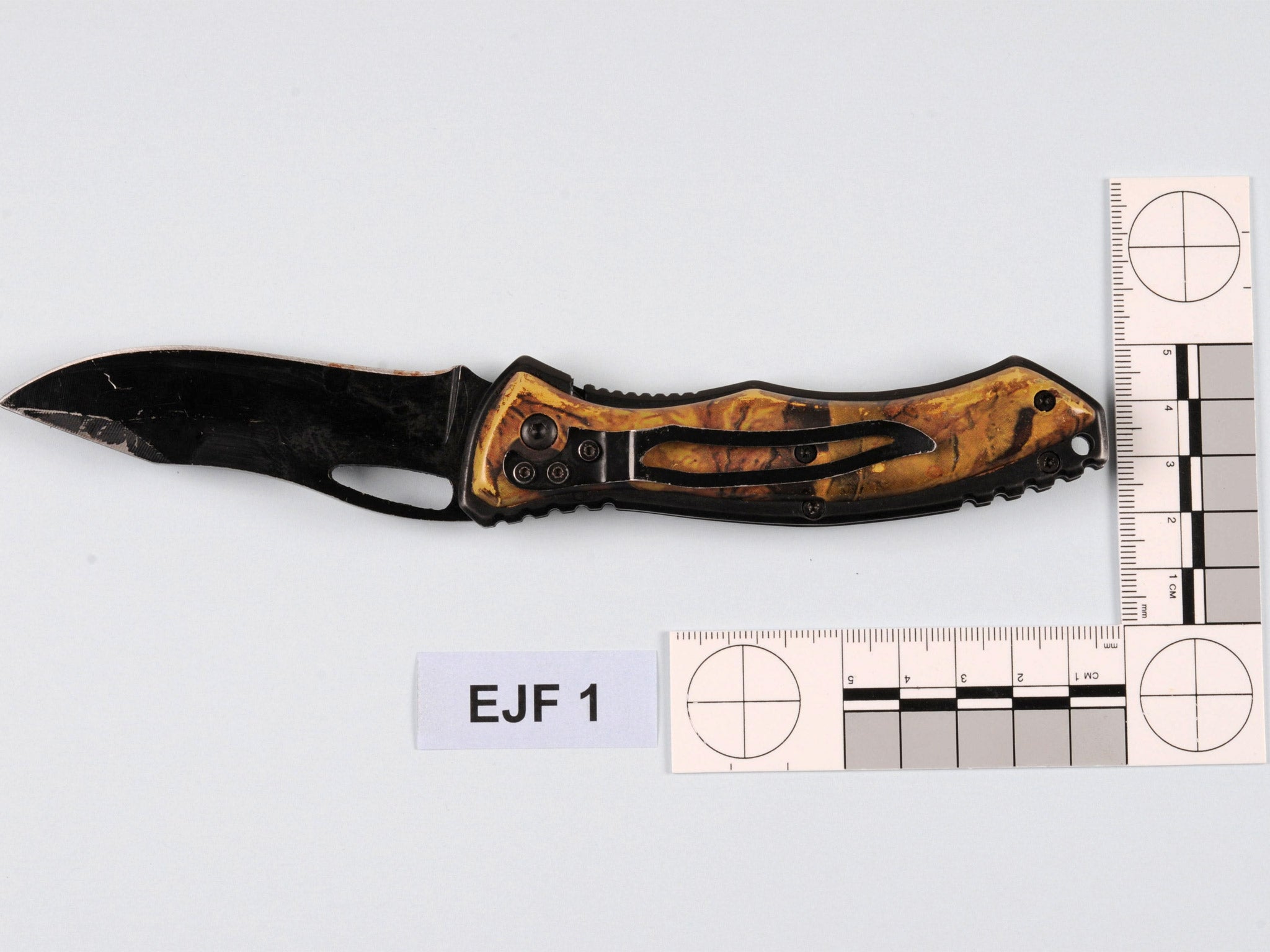 A knife used by Joanna Dennehy in the attacks