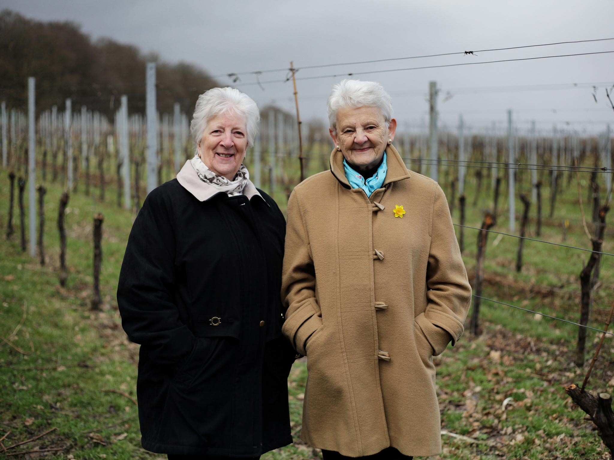 Anne Hathaway (brown coat) and Rita Everett are employed as grape pickers at Gusborne (they use money to supplement their pensions)