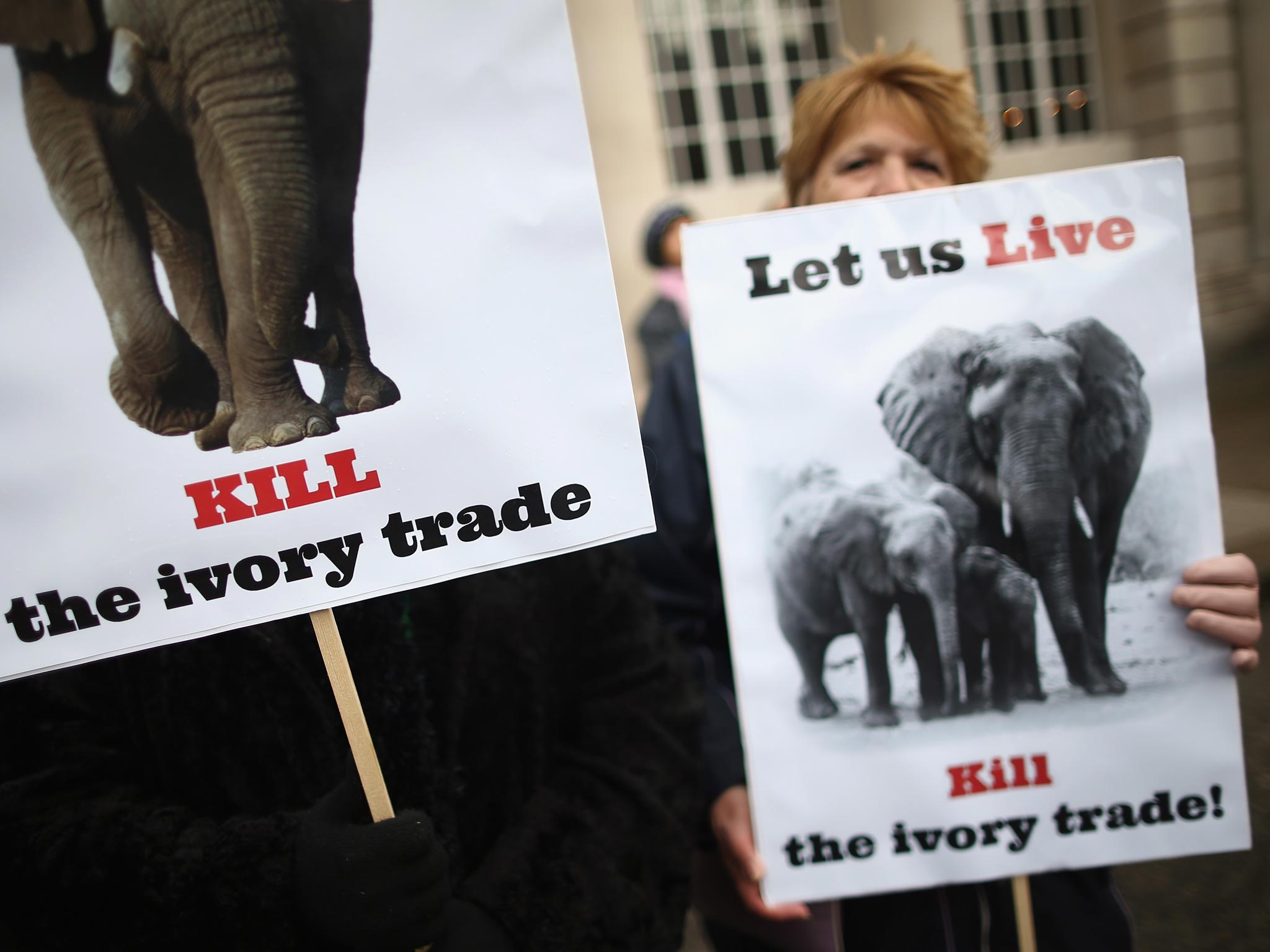 Campaigners protest against the illegal trade in wildlife outside the conference venue, Lancaster House in London, yesterday