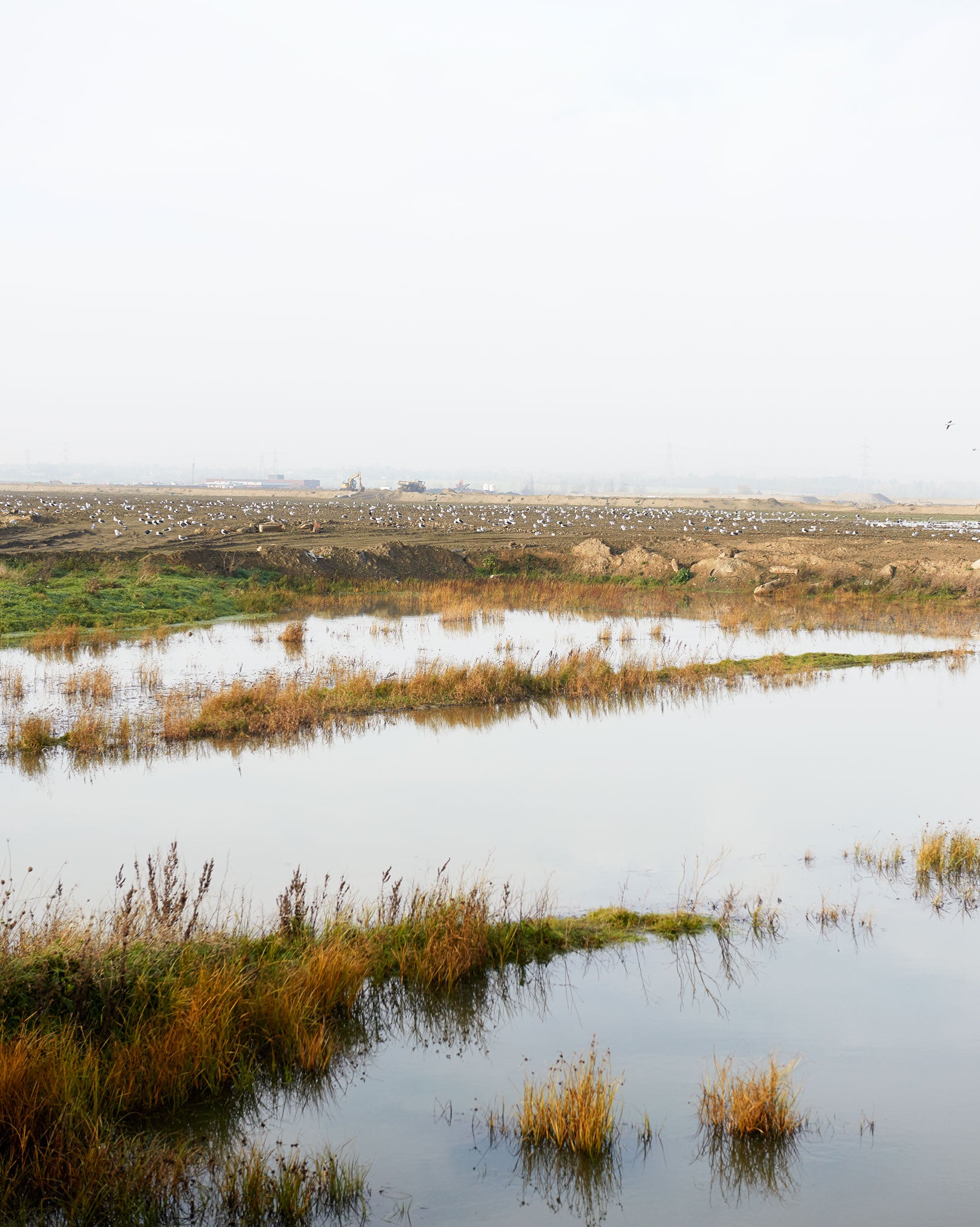 The land the cranes stand on didn't exist a few years ago; it was reclaimed by dredging millions of tonnes of silt to deepen the bottom of the river, which was then used to build out the banks by 500 metres