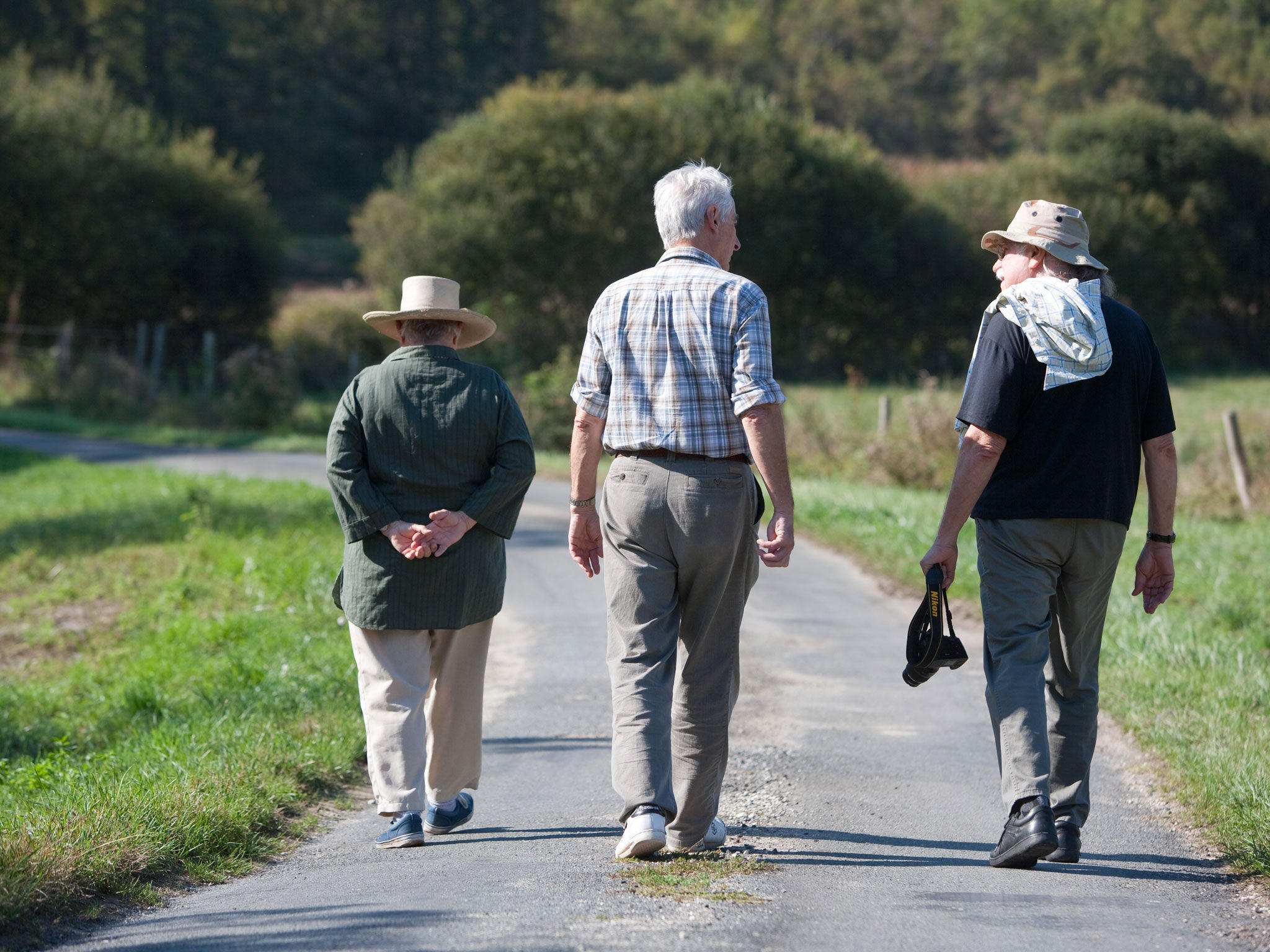 Light aerobic exercise helps grow two regions of the brain in particular