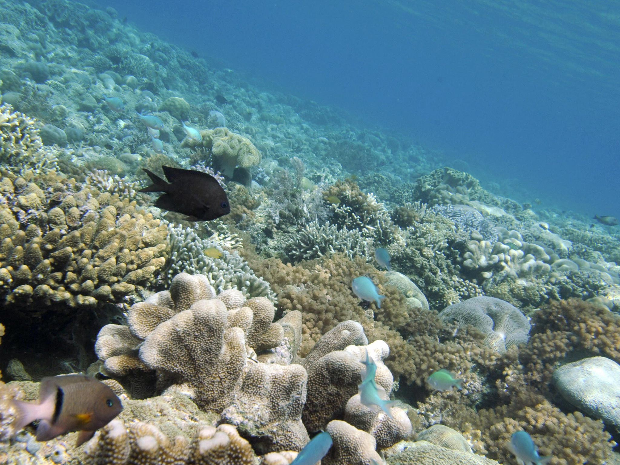 Waves impacting the deep sea bed have been found to be the cause