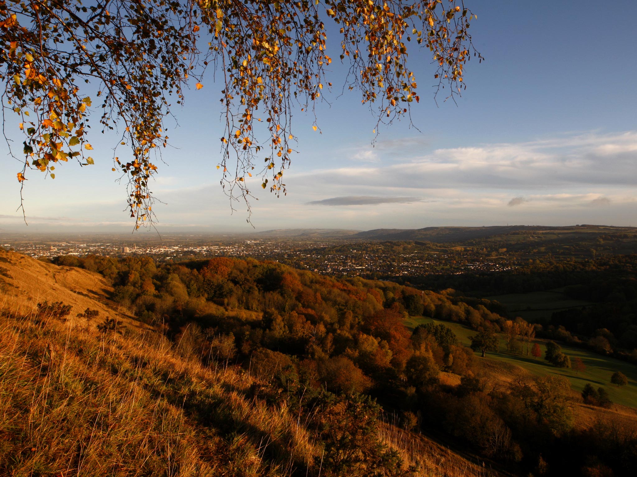 The biodiversity team offer advice on planning applications and have a considerable influence on the process