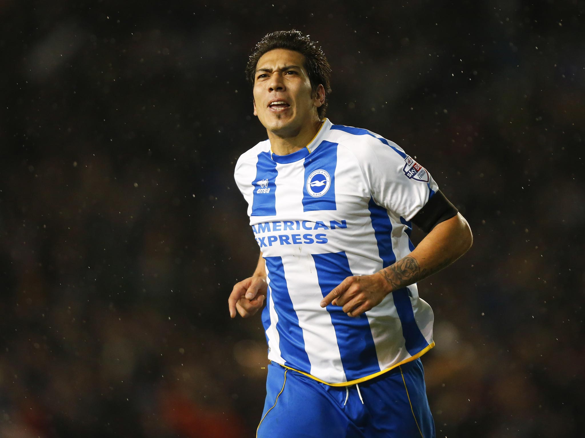 Leonardo Ulloa scored in his third successive game for Brighton last night