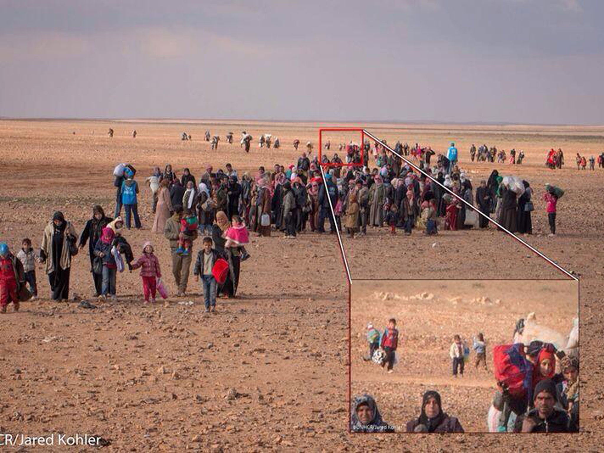 Andrew Harper posted a wider image from the UNHCR's Jared Kohler showing Marwan at the back of a large group of refugees before he met officials (Twitter)