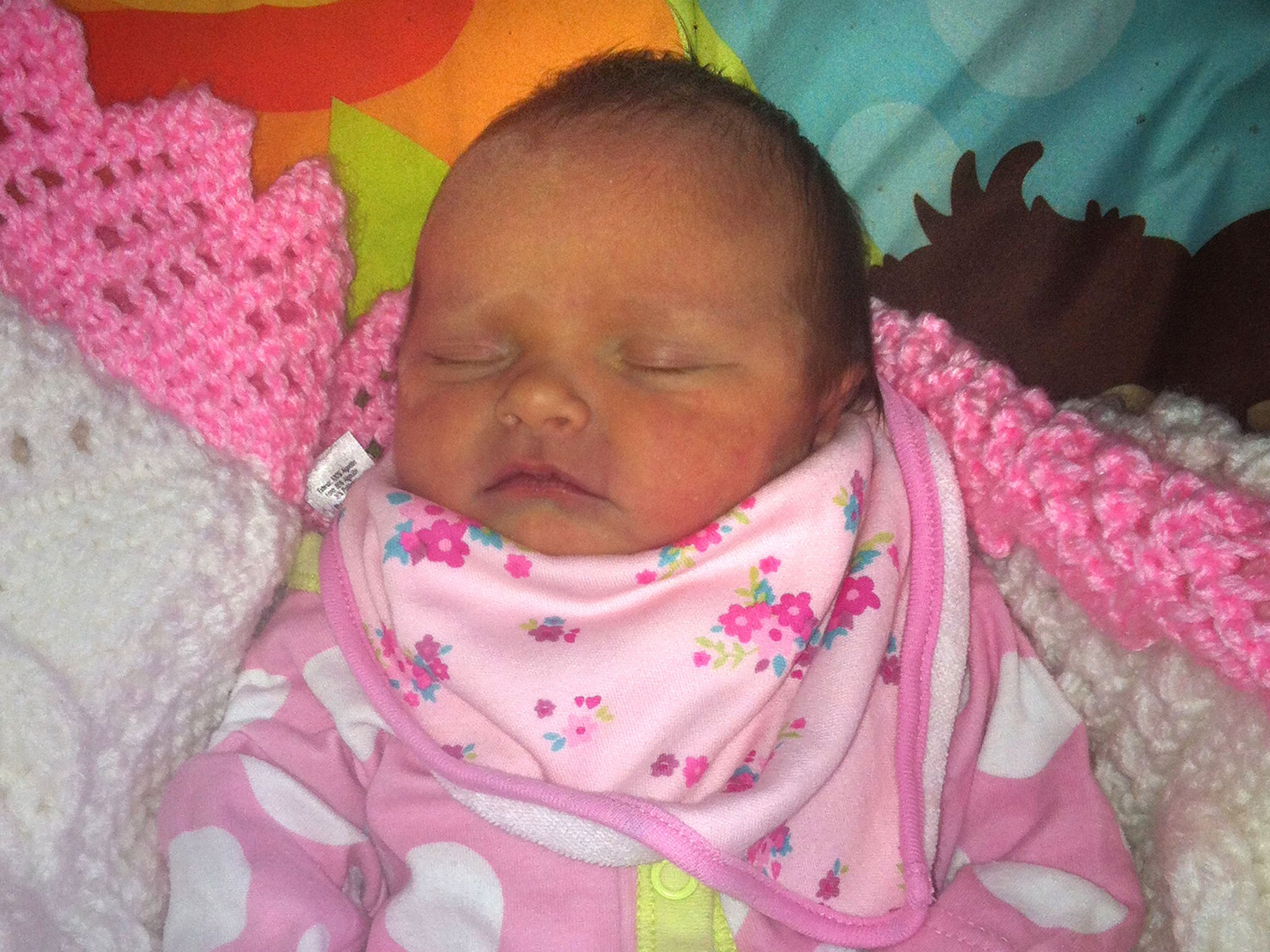 Eliza-Mae Mullane died after the family dog pulled her from her pram and bit her