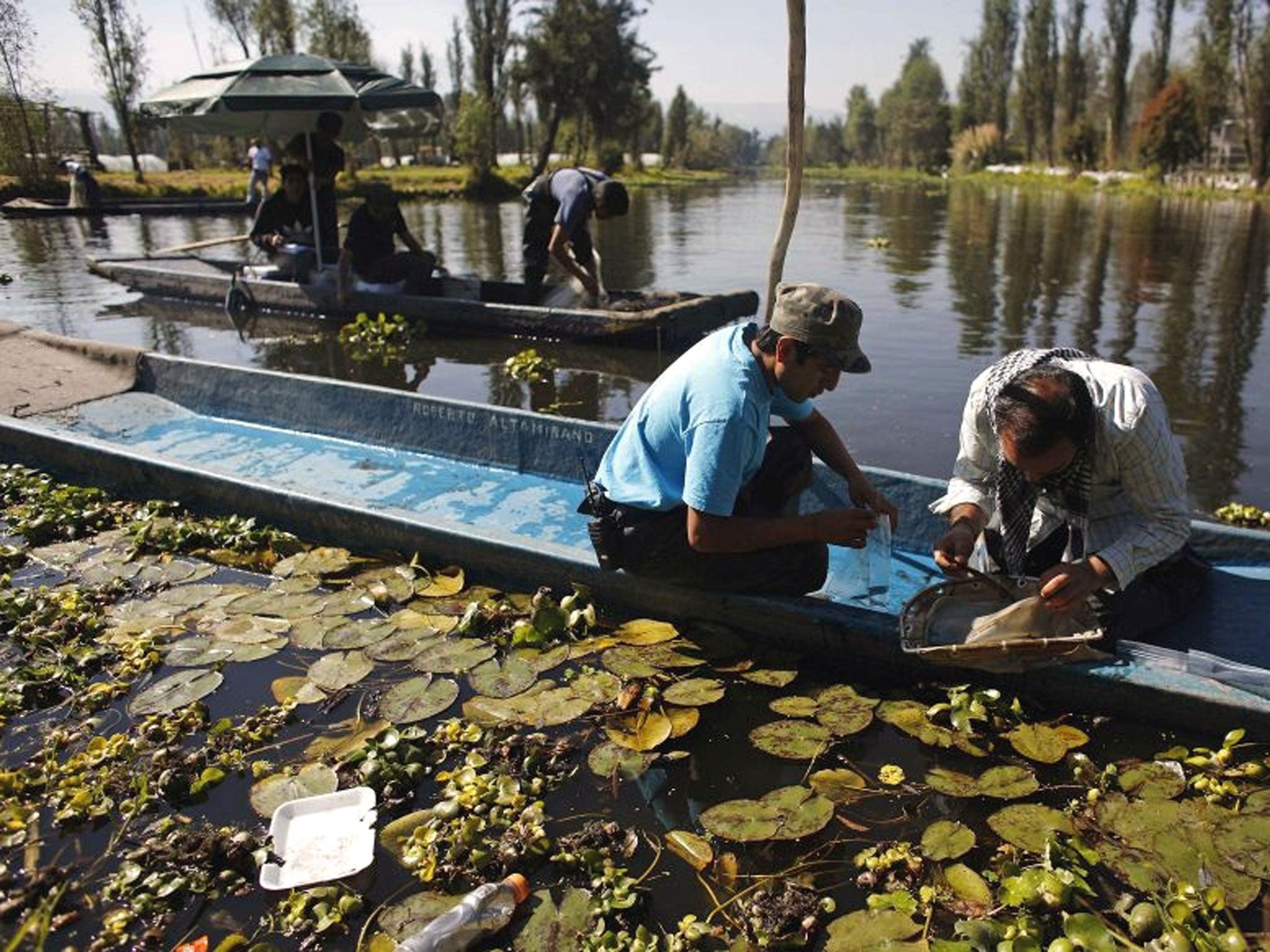 Local residents and scientists of the Biology Institute of the National Autonomous University of Mexico look for insects, which are food for the axolotls.