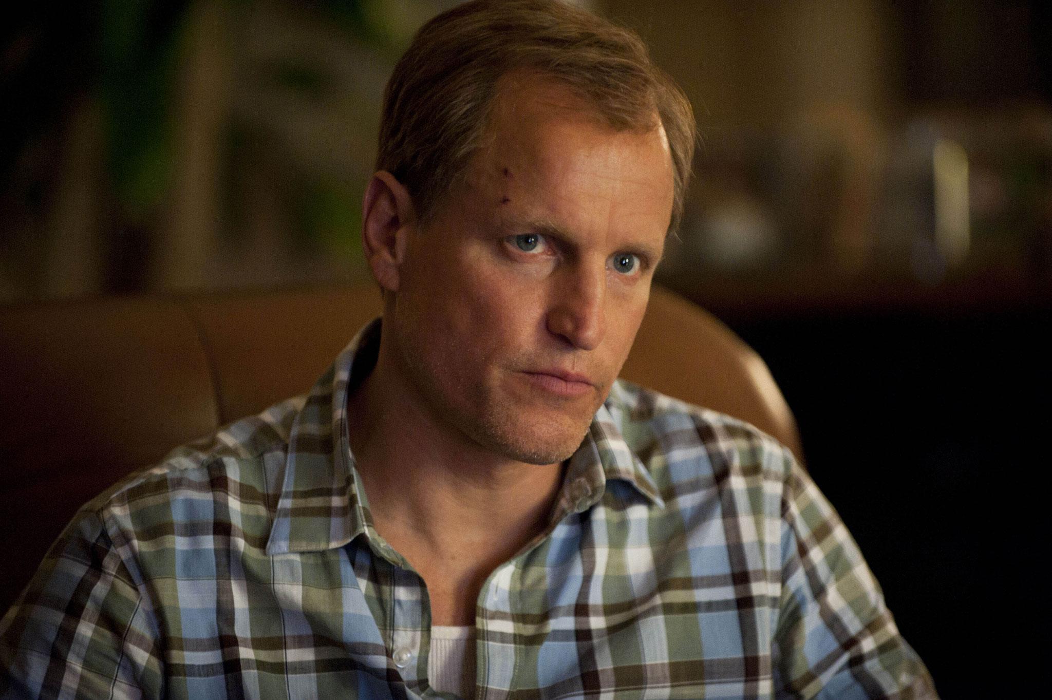 Woody Harrelson as Detective Martin Hart in True Detective