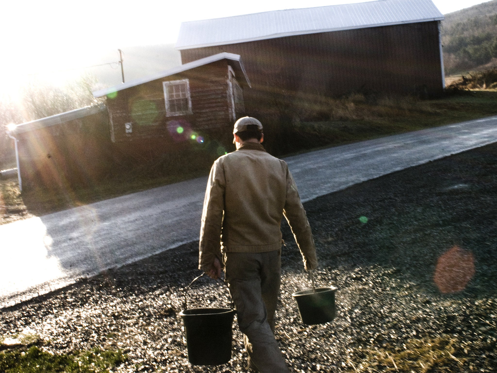 Bob Comis is calling for farming with a higher level of animal welfare as a counterpoint to large-scale industrial agricultural practices