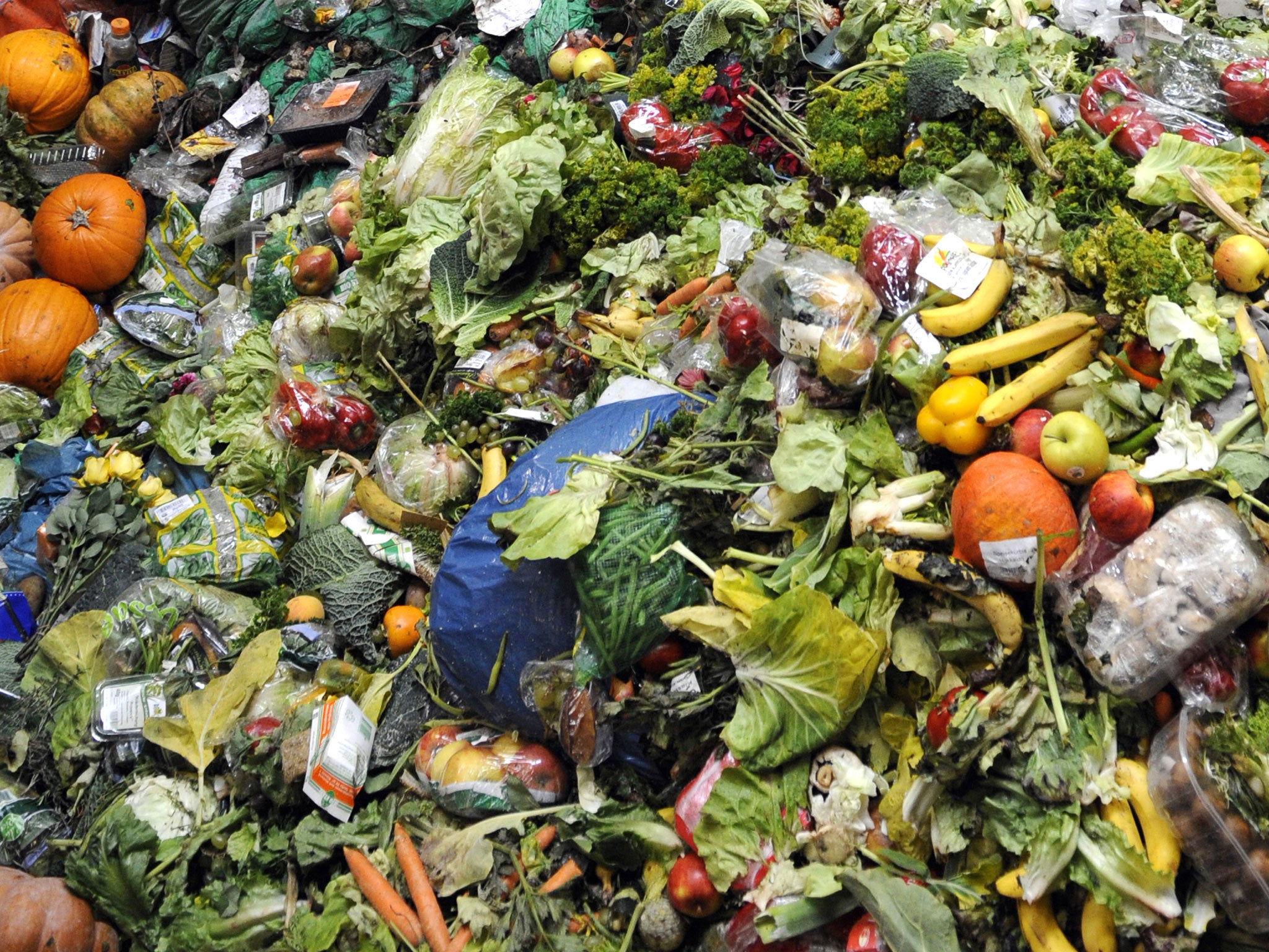 France is trying to cut down on food waste