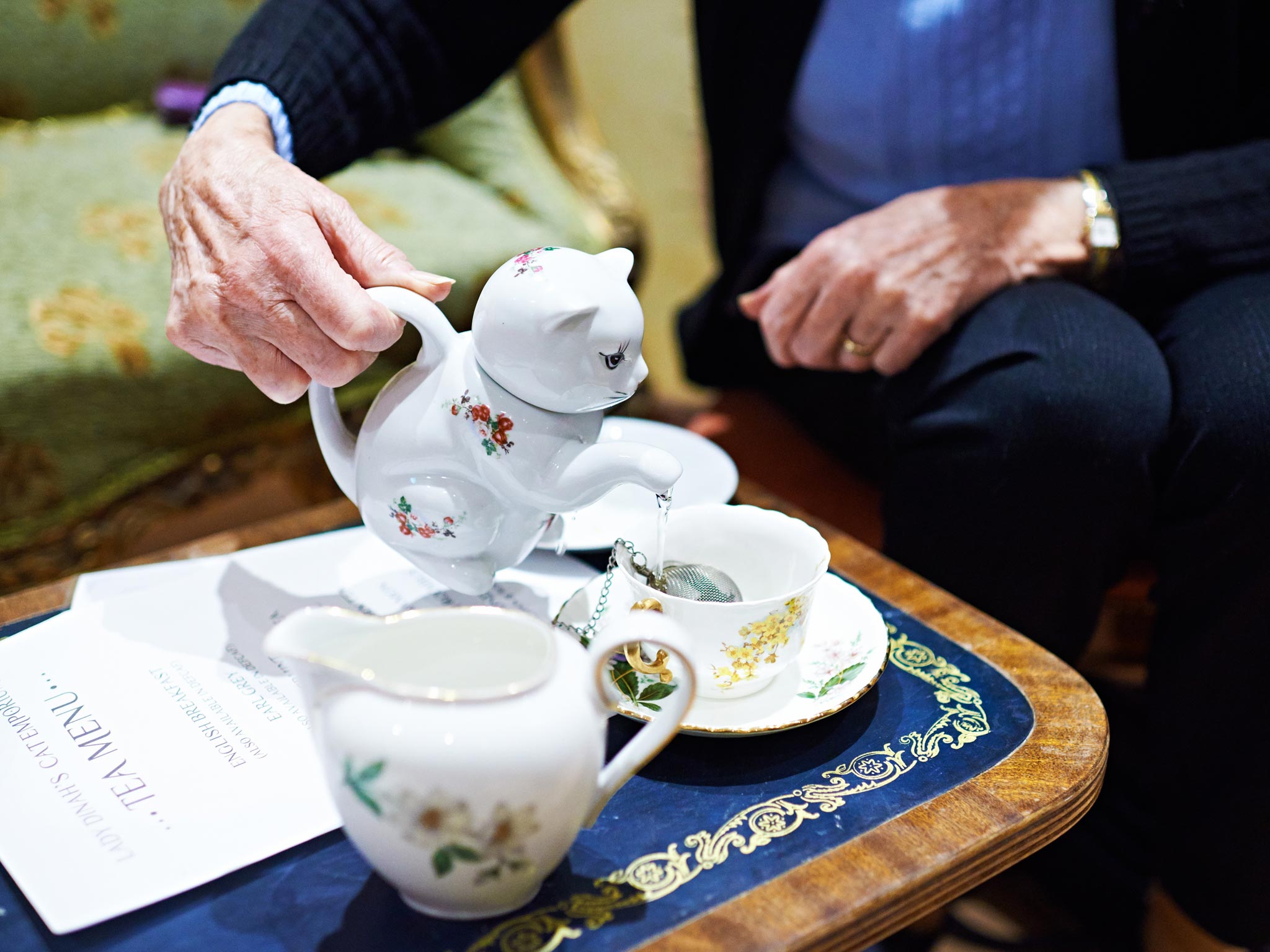 Visitors and cats at 'Lady Dinah's Cat Emporium' in London