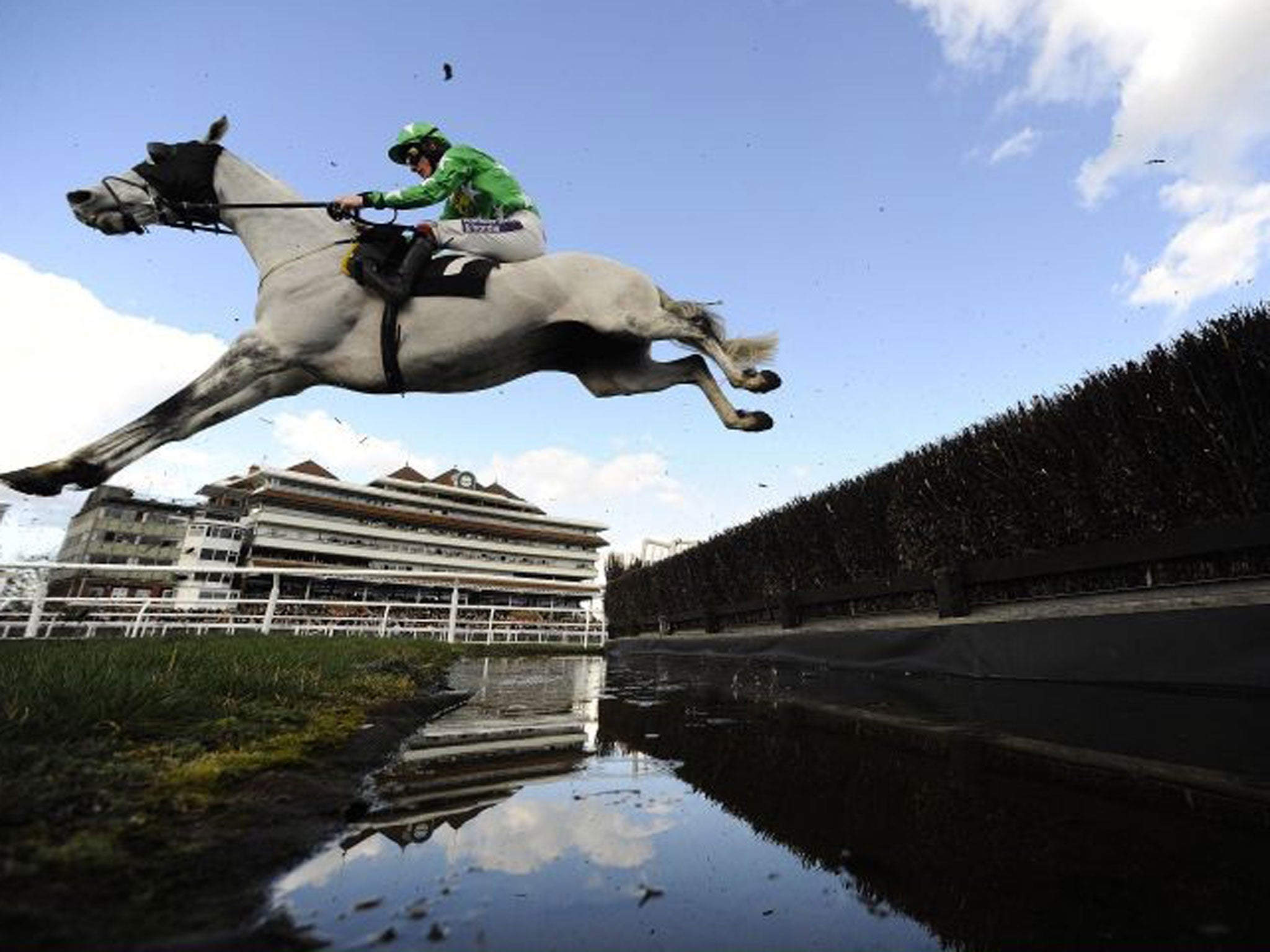 Racing Pigeon: Sam Twiston-Davies and Pigeon Island clear the water jump in the Veterans’ Handicap Chase at Newbury yesterday