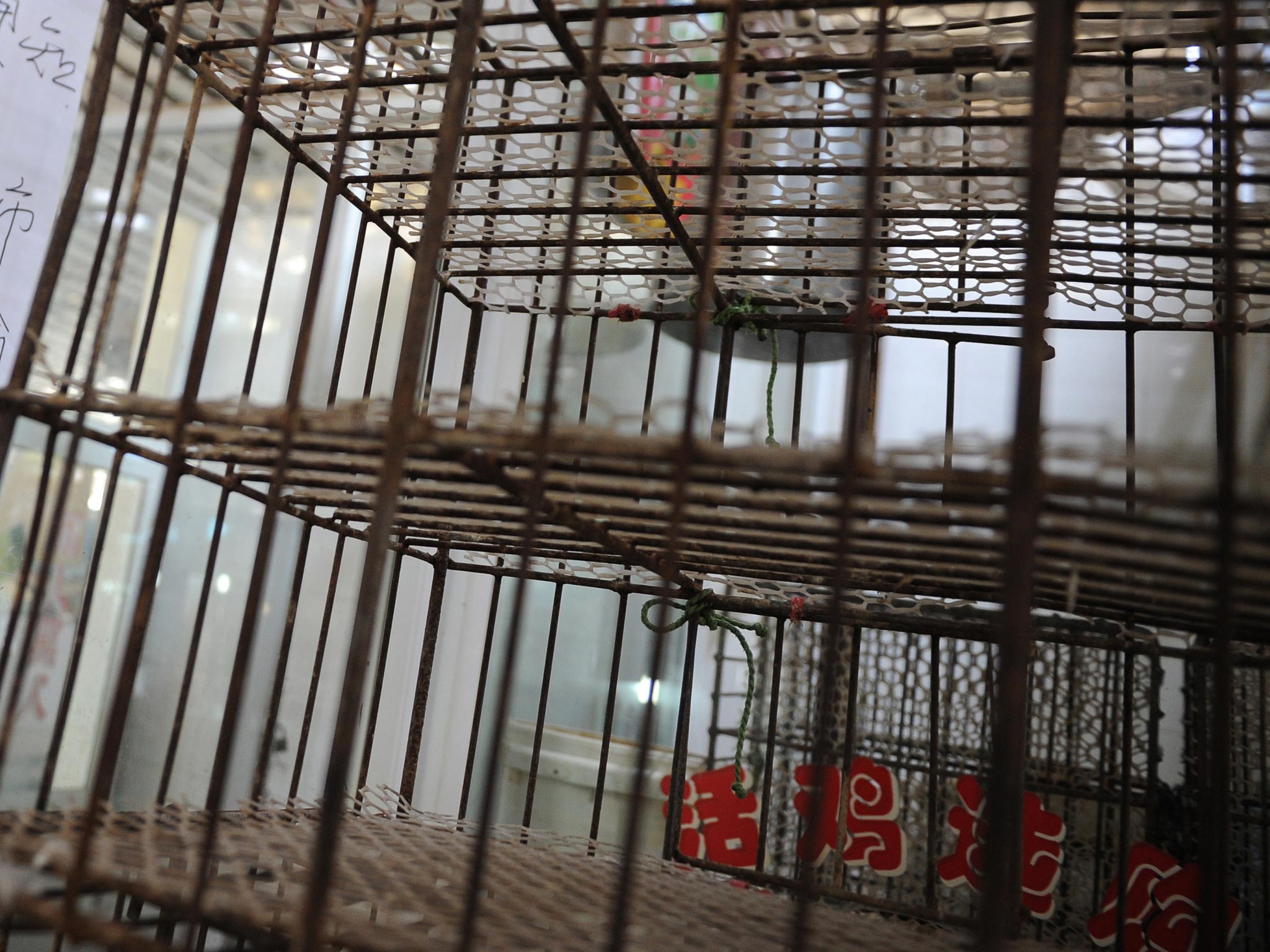 Eleven adopted and foster children were forced to sleep in cages