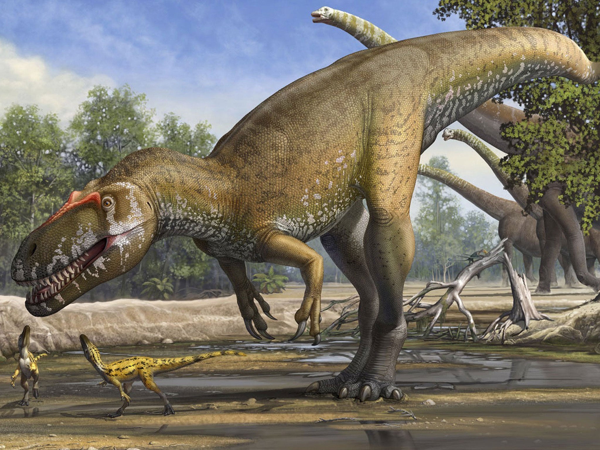 A Torvosaurus gurneyi dinosaur is seen in an undated artist's rendering