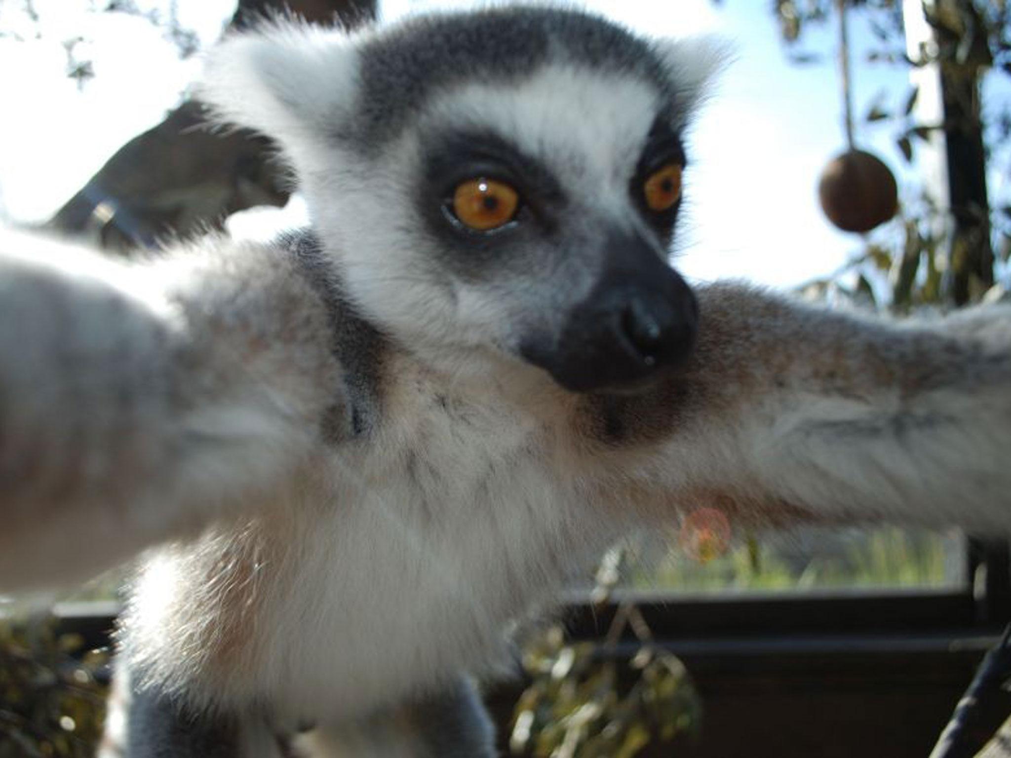 Bekily holds the camera in outstretched arms and strikes a pose