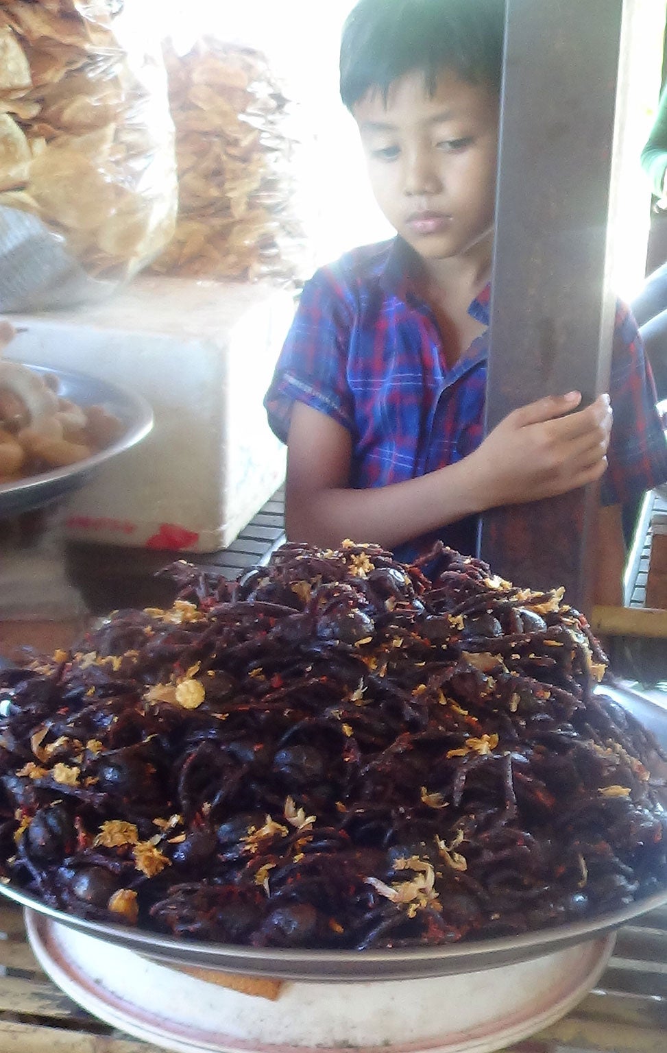 50 burnt tarantulas on a plate: "The head and the legs you snap off first. They taste a bit like the crispy bit of a chicken wing, but the abdomen is like a profiterole. It kind of just sags in your mouth and the creamy bit, it’s a little bitter.”