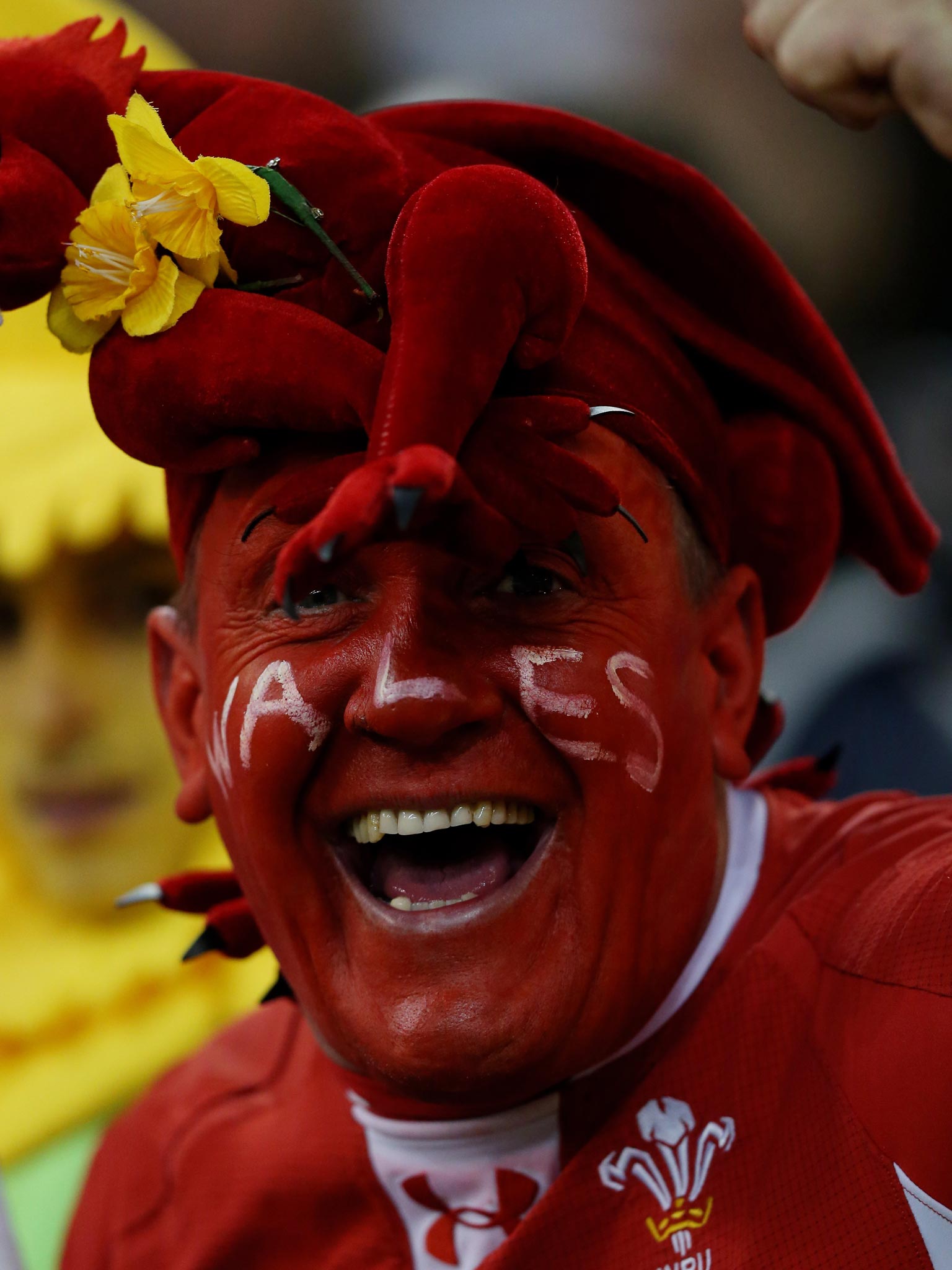 A Wales fan shows his colours before the big showdown