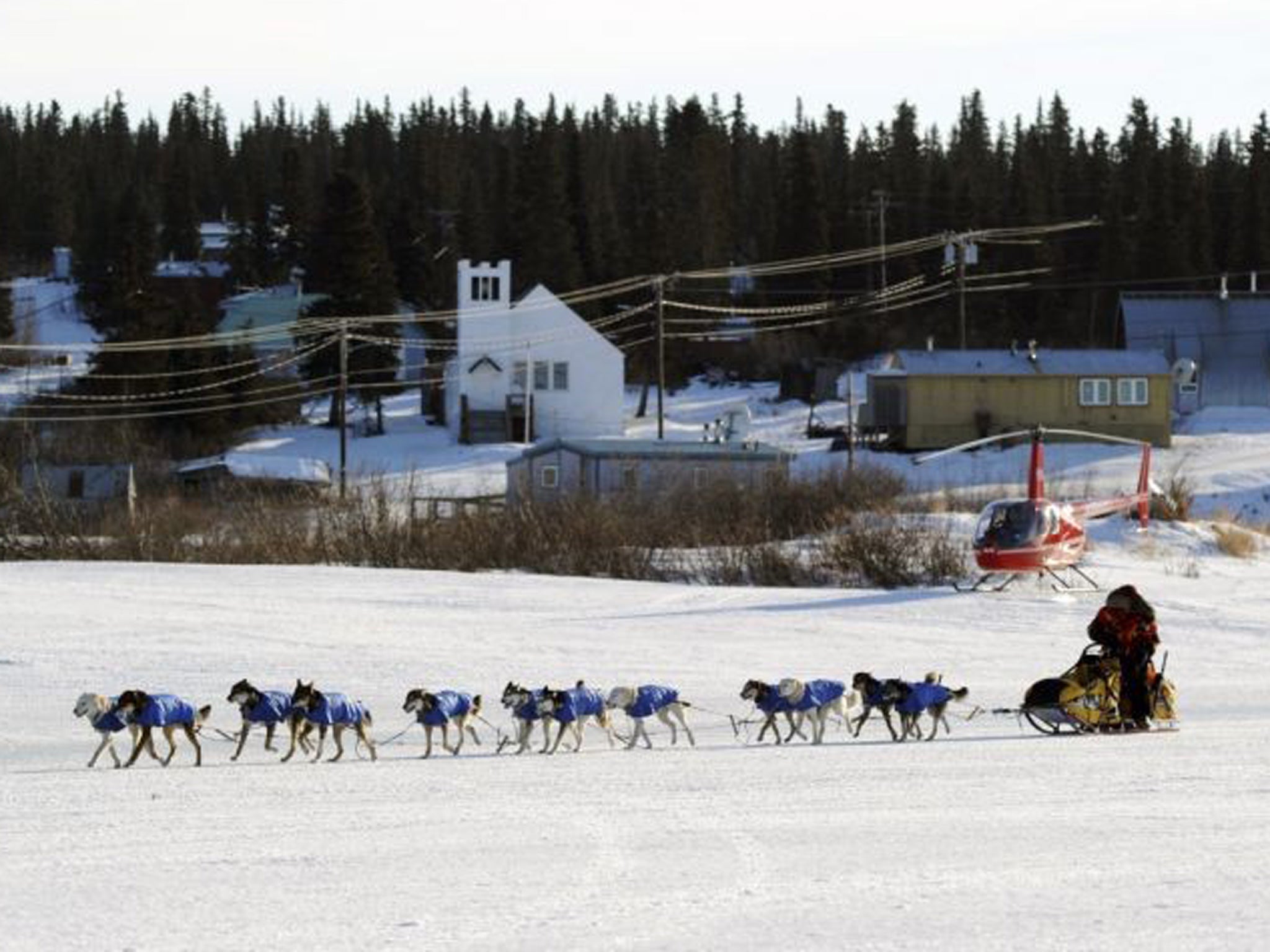 Mitch Seavey arrives at the White Mountain checkpoint.