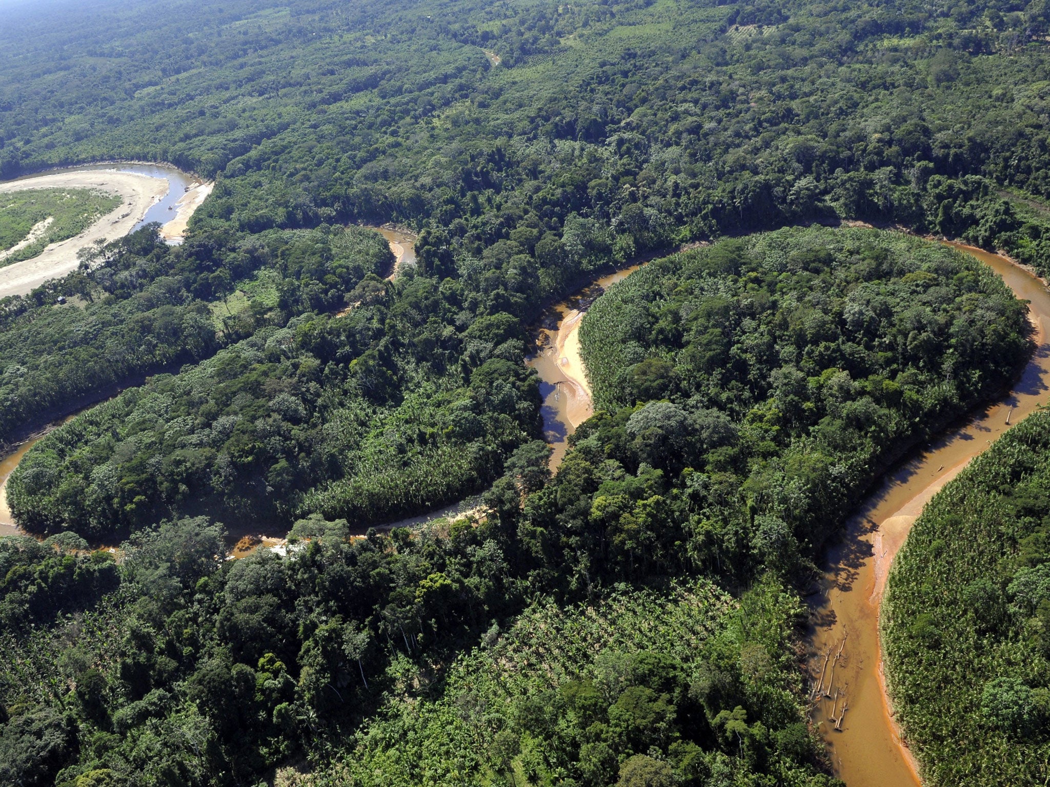 A view of the Amazon rainforest in Bolivia.