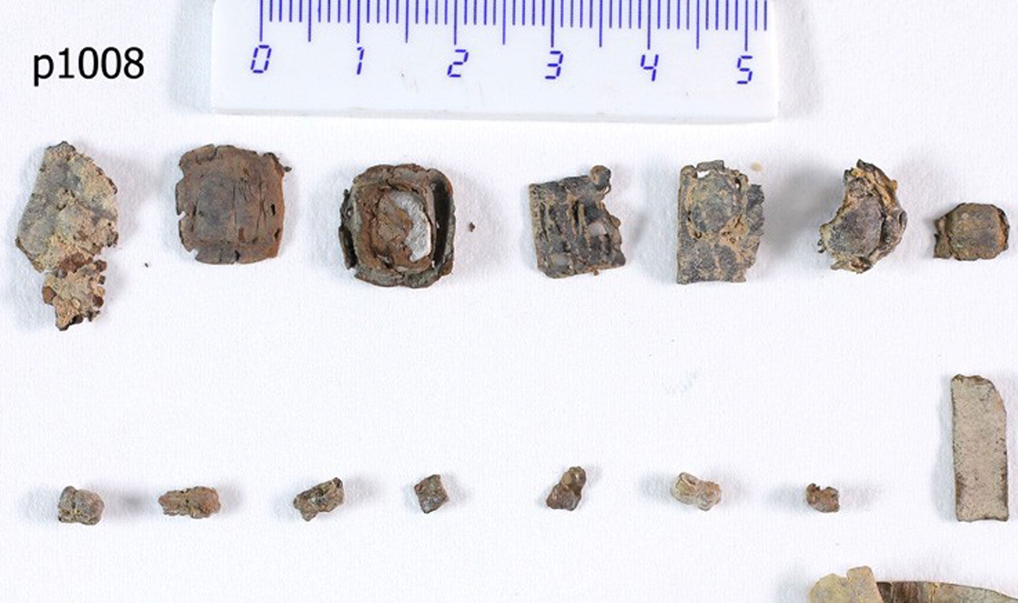 Seven recently rediscovered unopened tefillin scrolls from Qumran