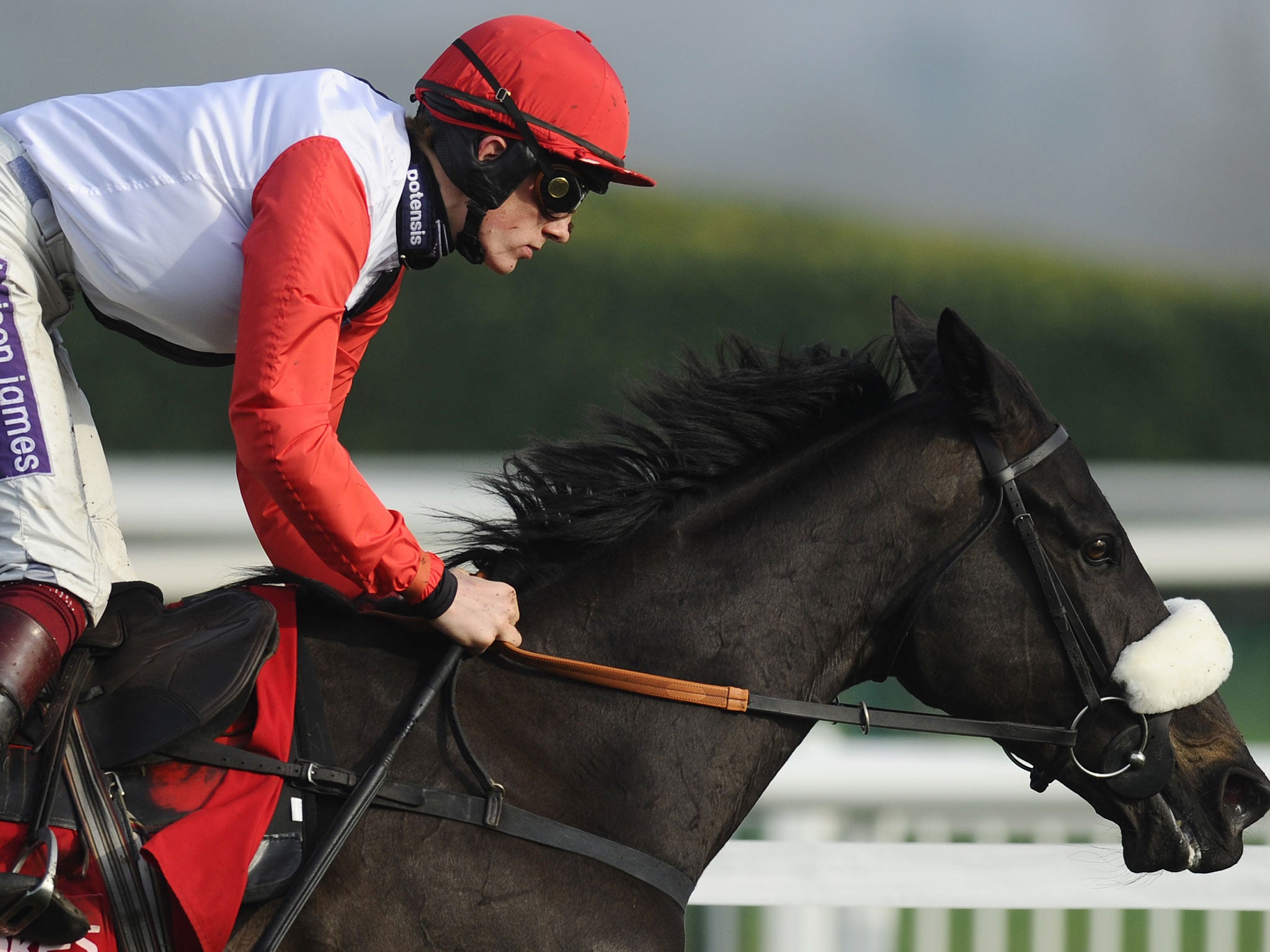 Big Bucks who has been retired today by trainer Paul Nicholls on St Patrick's Thursday during the Cheltenham Festival