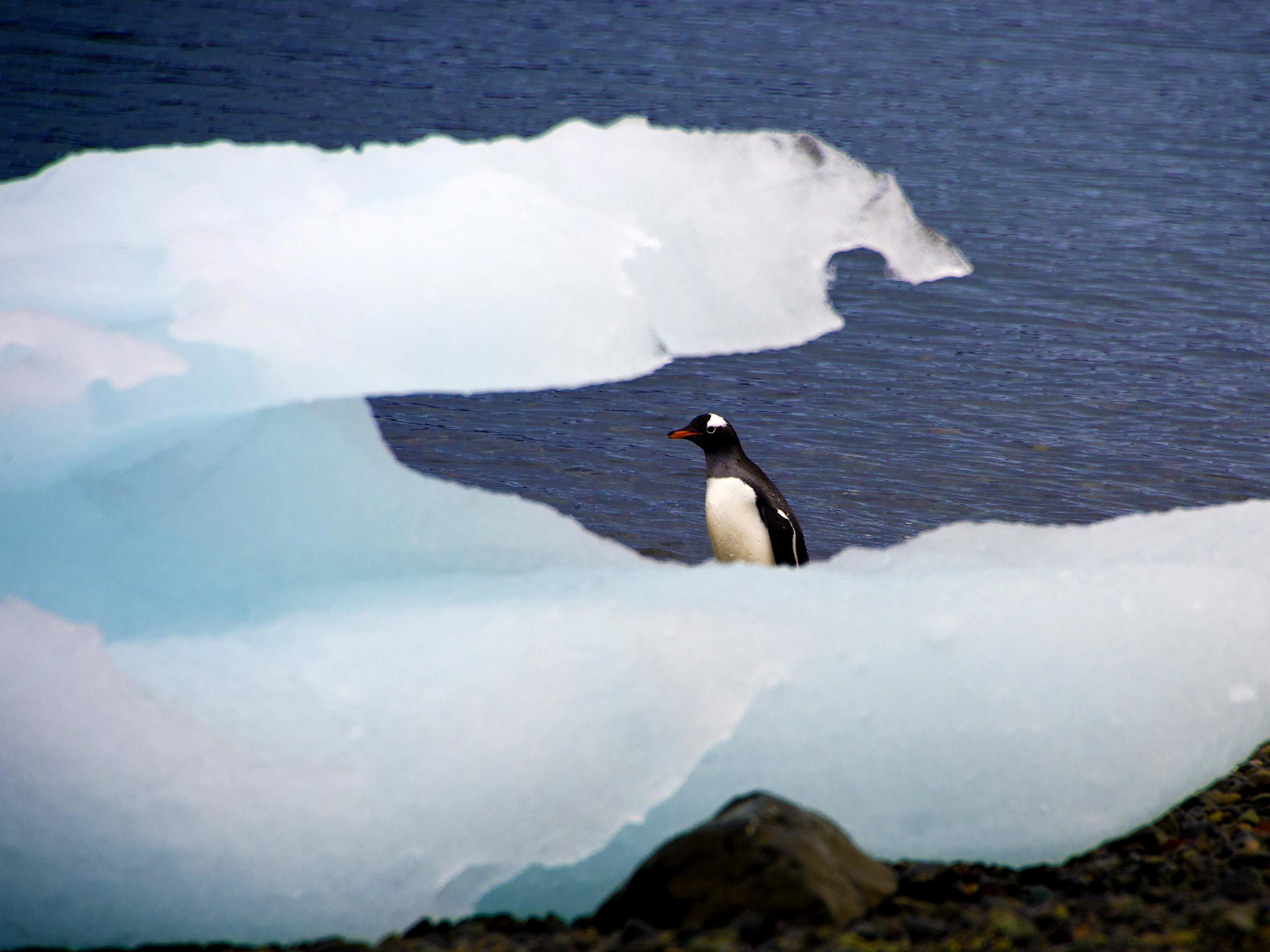 The Wales-based group will be playing at a venue near the South Pole