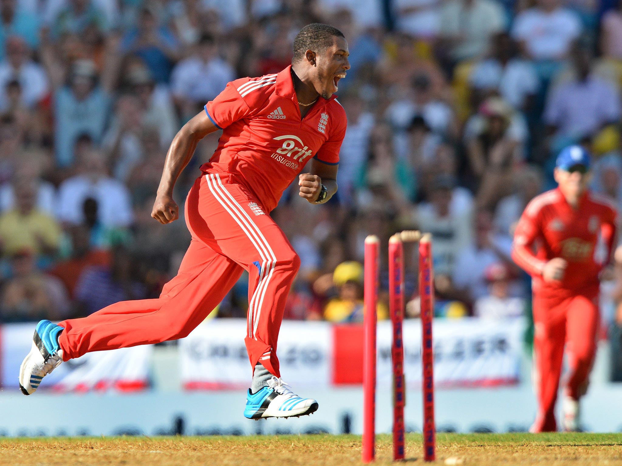 Chris Jordan celebrates the wicket of Marlon Samuels following his heroics with the bat