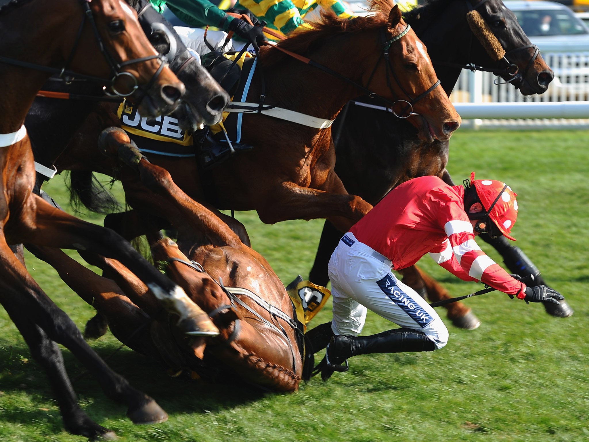 Ruby Walsh on Abbyssial falls in the JCB Triumph Hurdle during the Cheltenham Festival