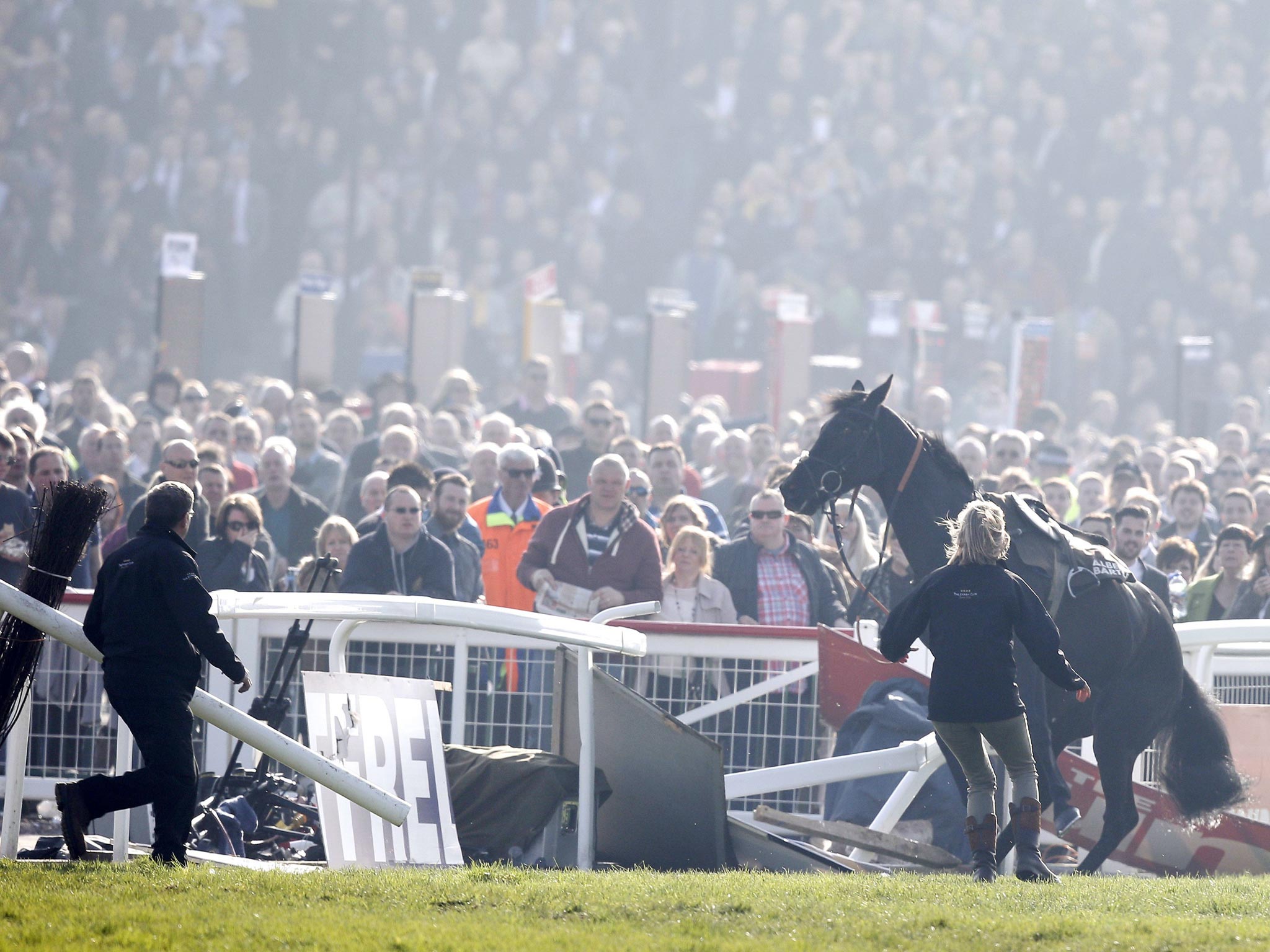 Daryl Jacob was taken to hospital after being thrown through the
rails by Port Melon