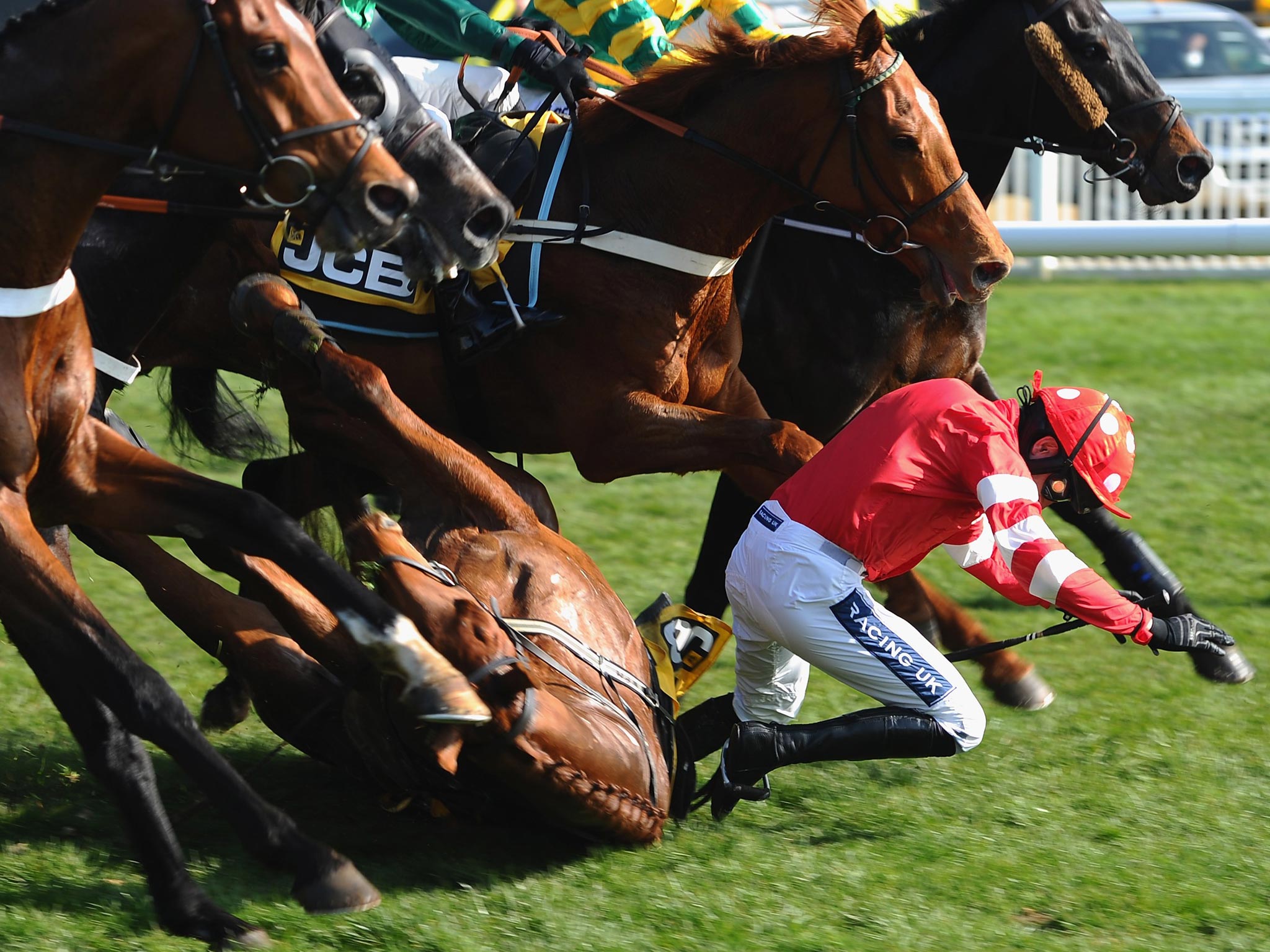 Jockey Ruby Walsh (R) falls from Abbyssial after jumping the first hurdle