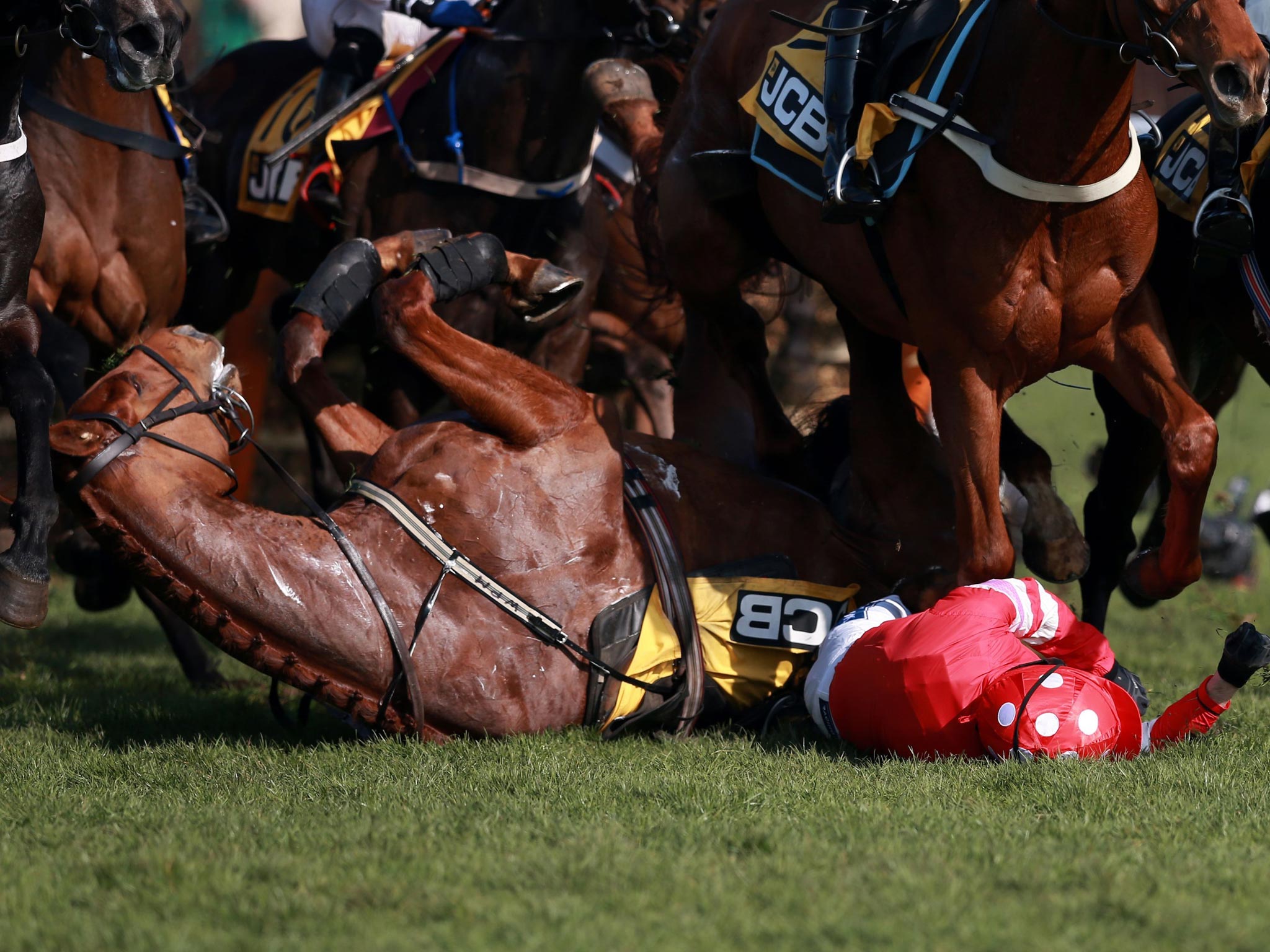 Abbyssial and jockey Ruby Walsh fall during the JCB Triumph Hurdle Race during Cheltenham Gold Cup Day at Cheltenham Racecourse, Cheltenham