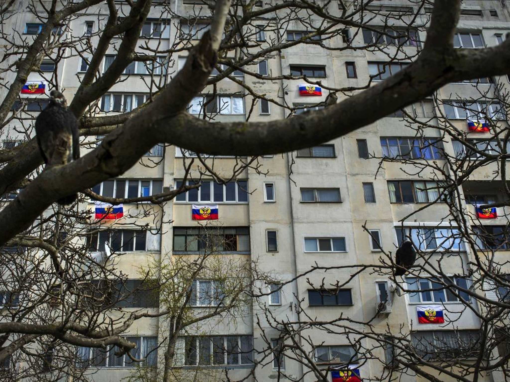 No contest: Russian flags show how people of Sevastopol will vote in today’s referendum