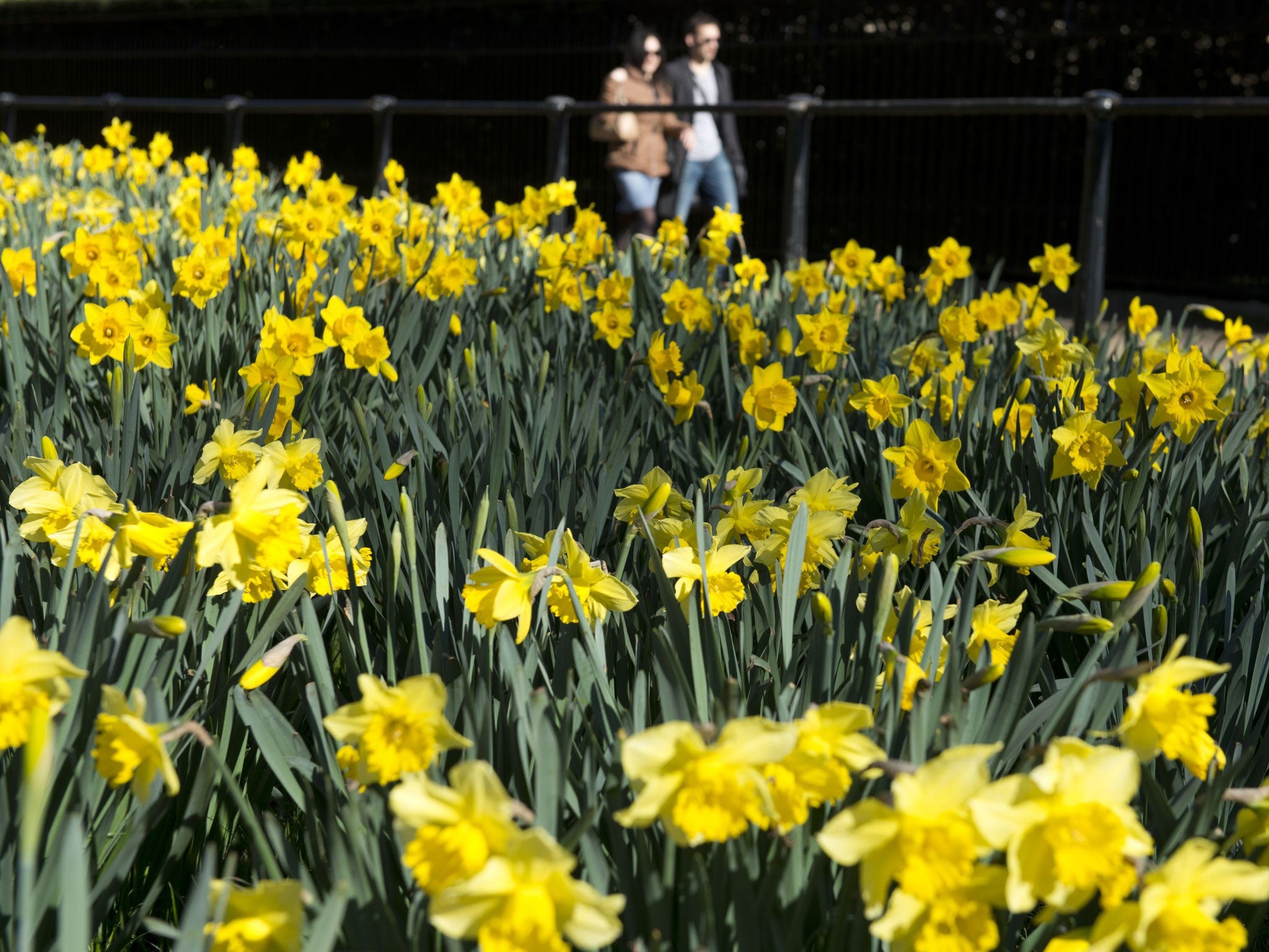 People enjoying the spring sunshine in central London, Sunday 16 March