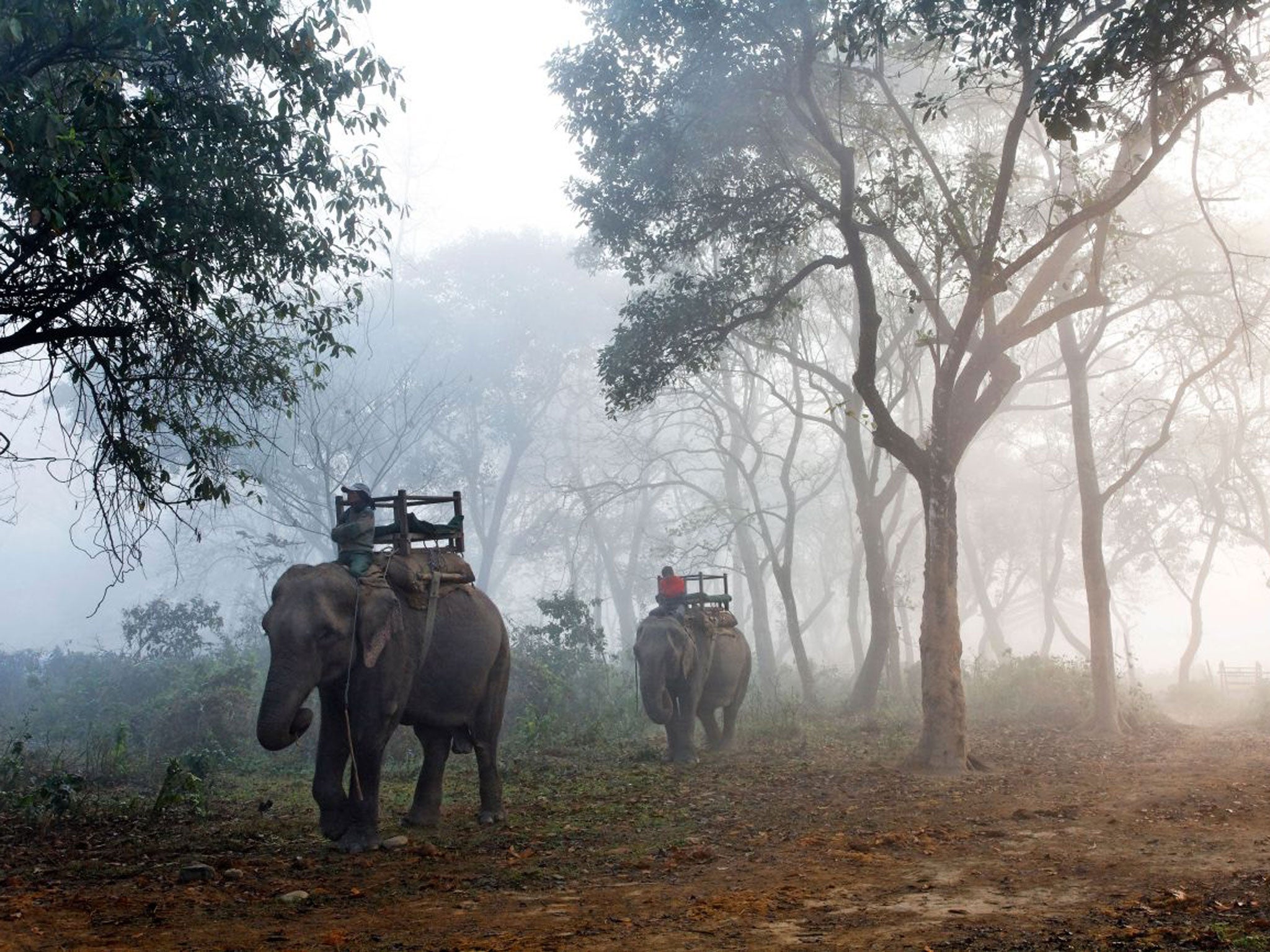 Chitwan National Park