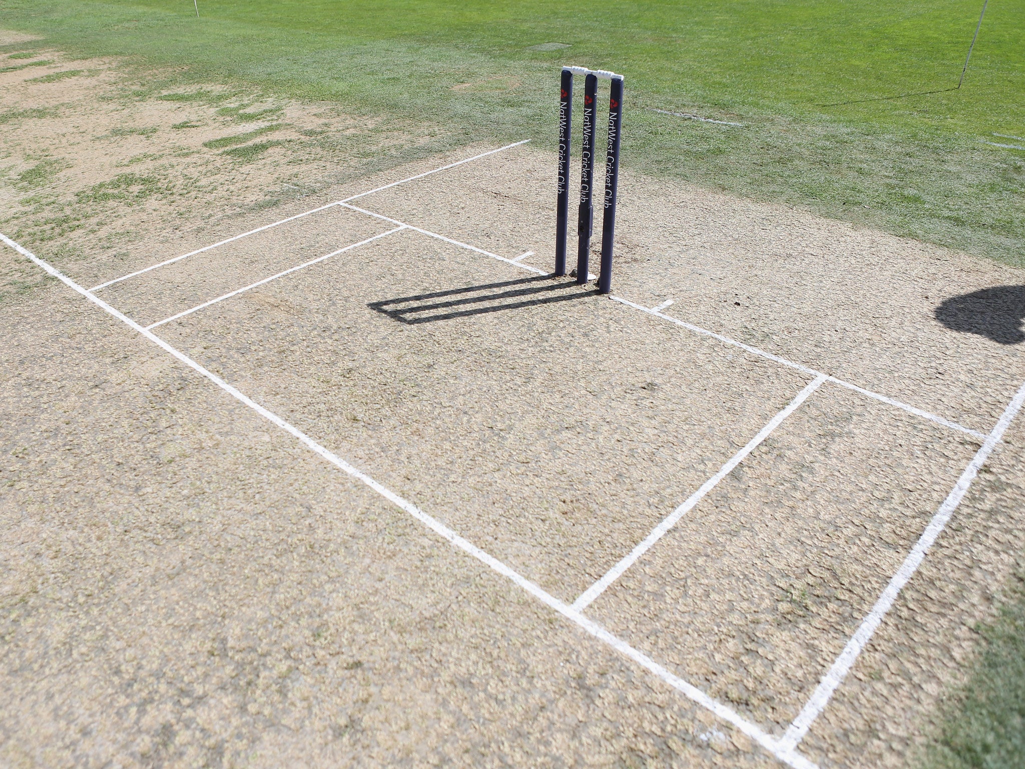 Cricket stumps