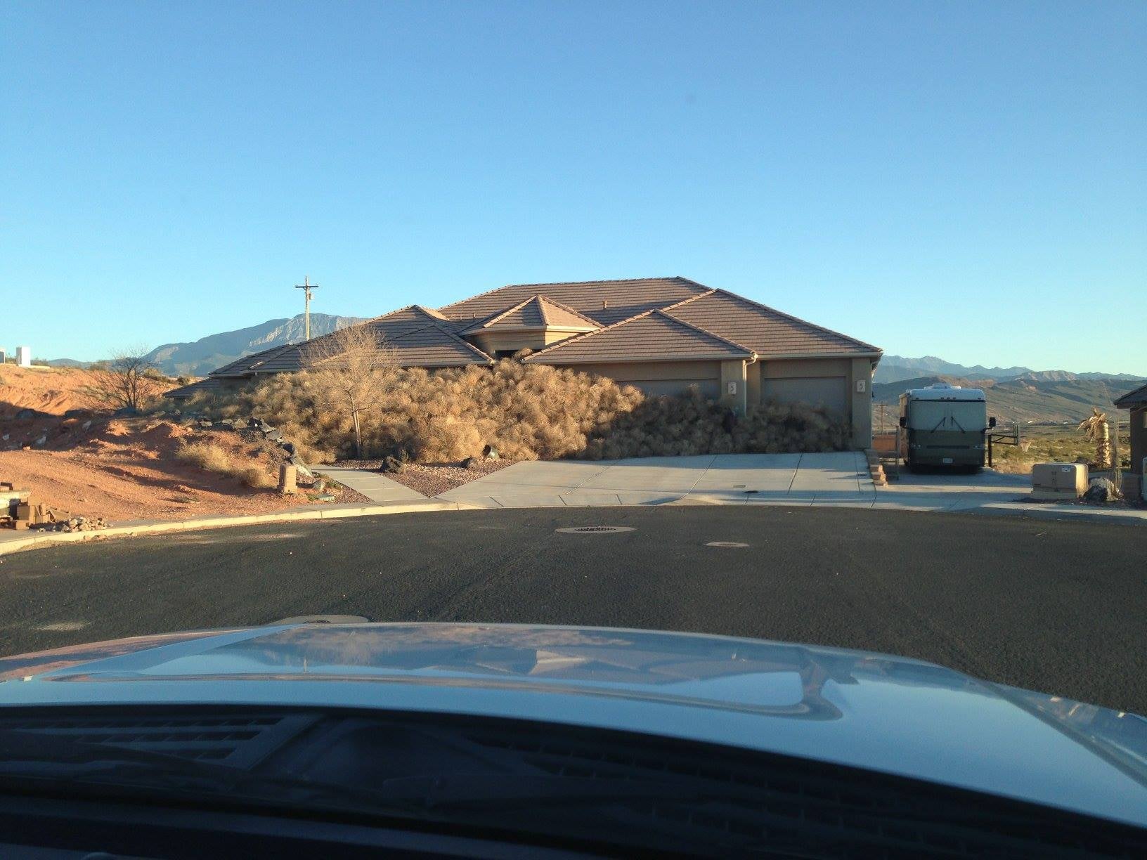 Tumbleweeds have been holding people hostage in their homes, the wiry bastards