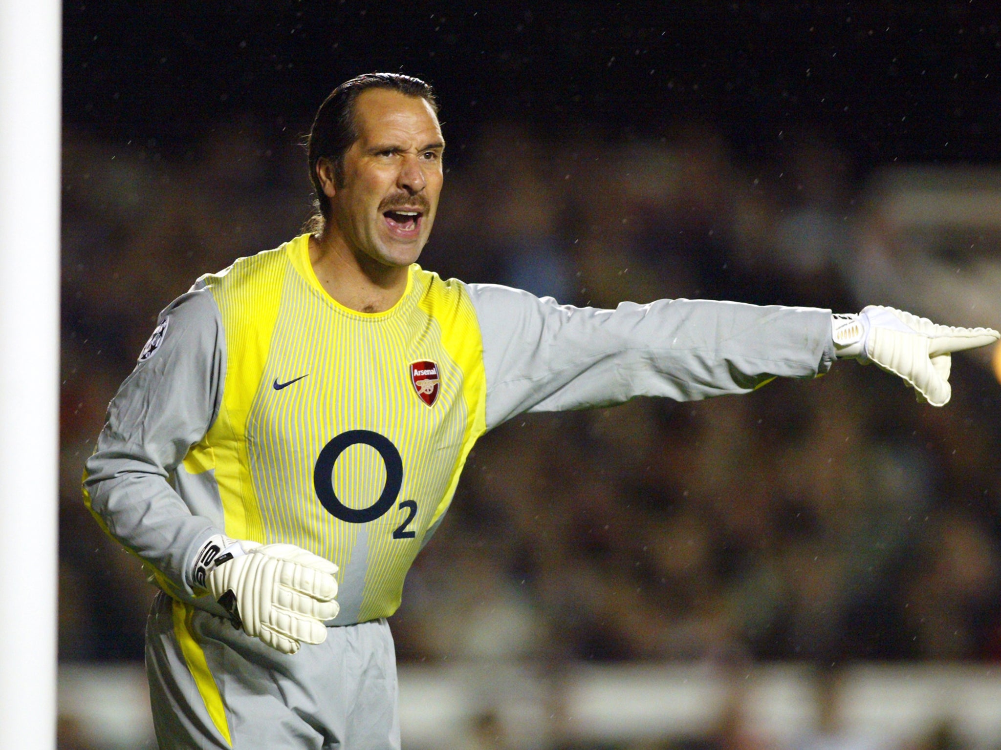 David Seaman was Arsenal's No 1