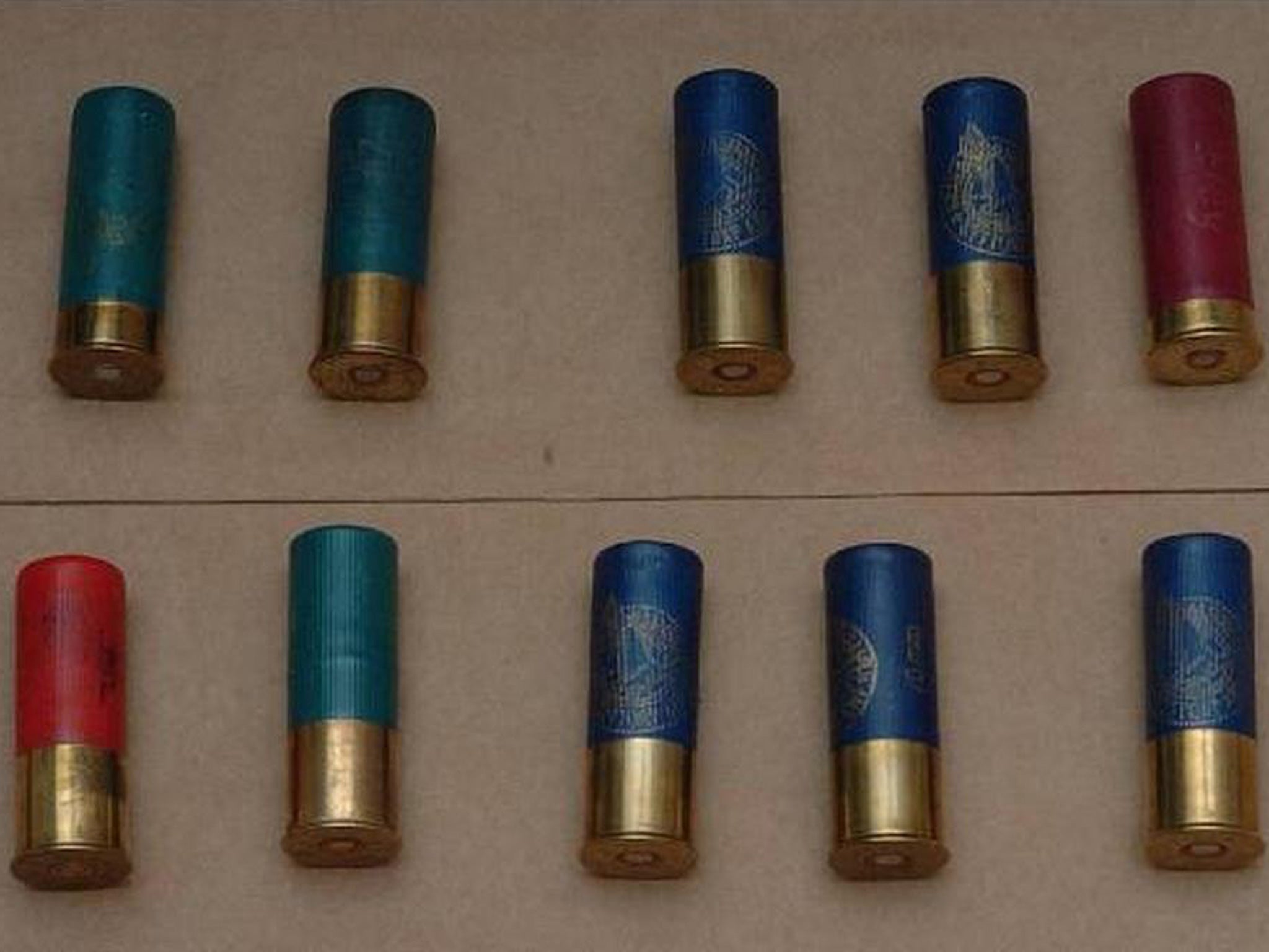 Ammunition found at Derek Rossi's home.