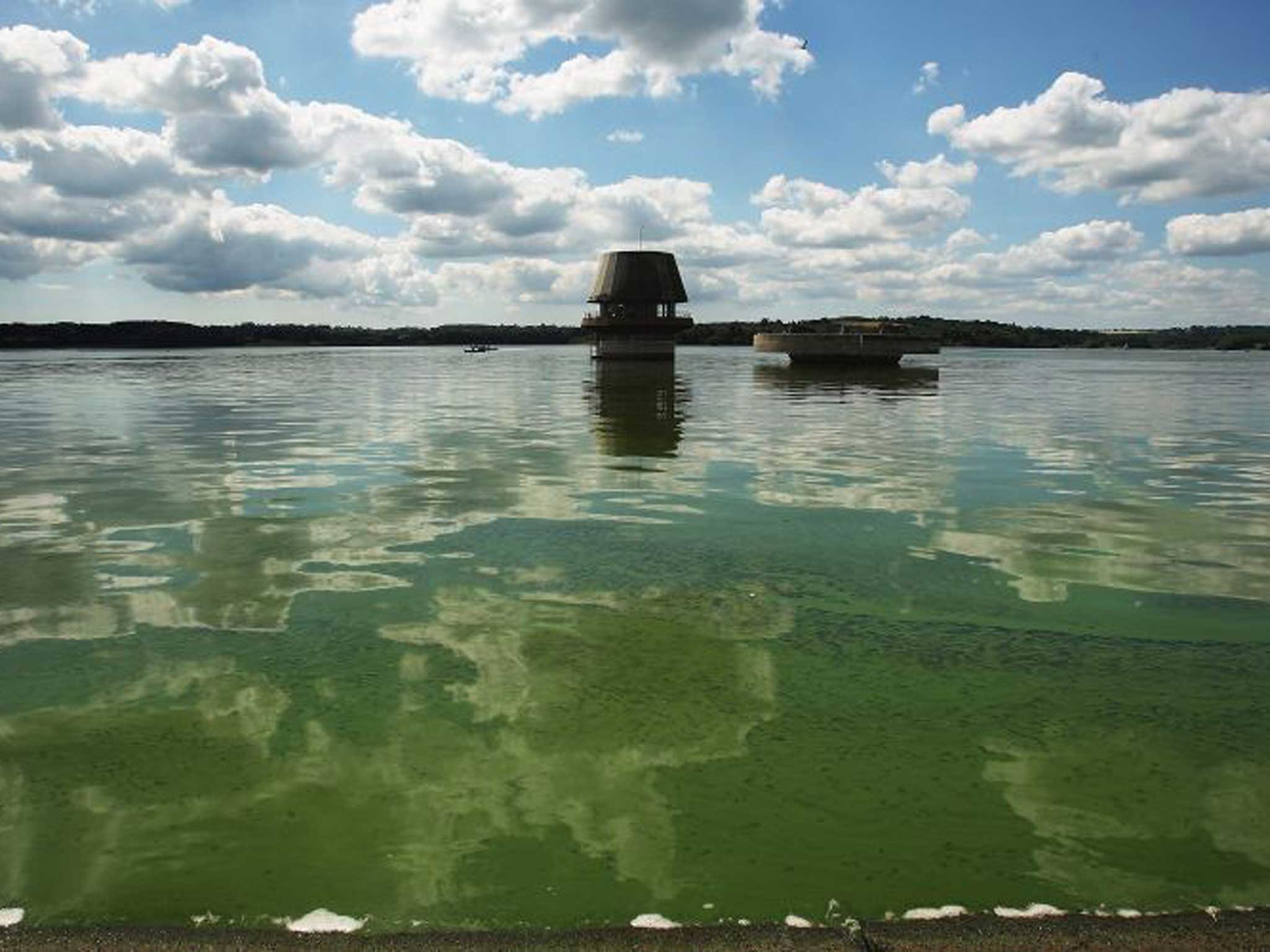 Heat Reservoir: Bewl Water at Lamberhurst, Kent, could provide a site for heat pumps