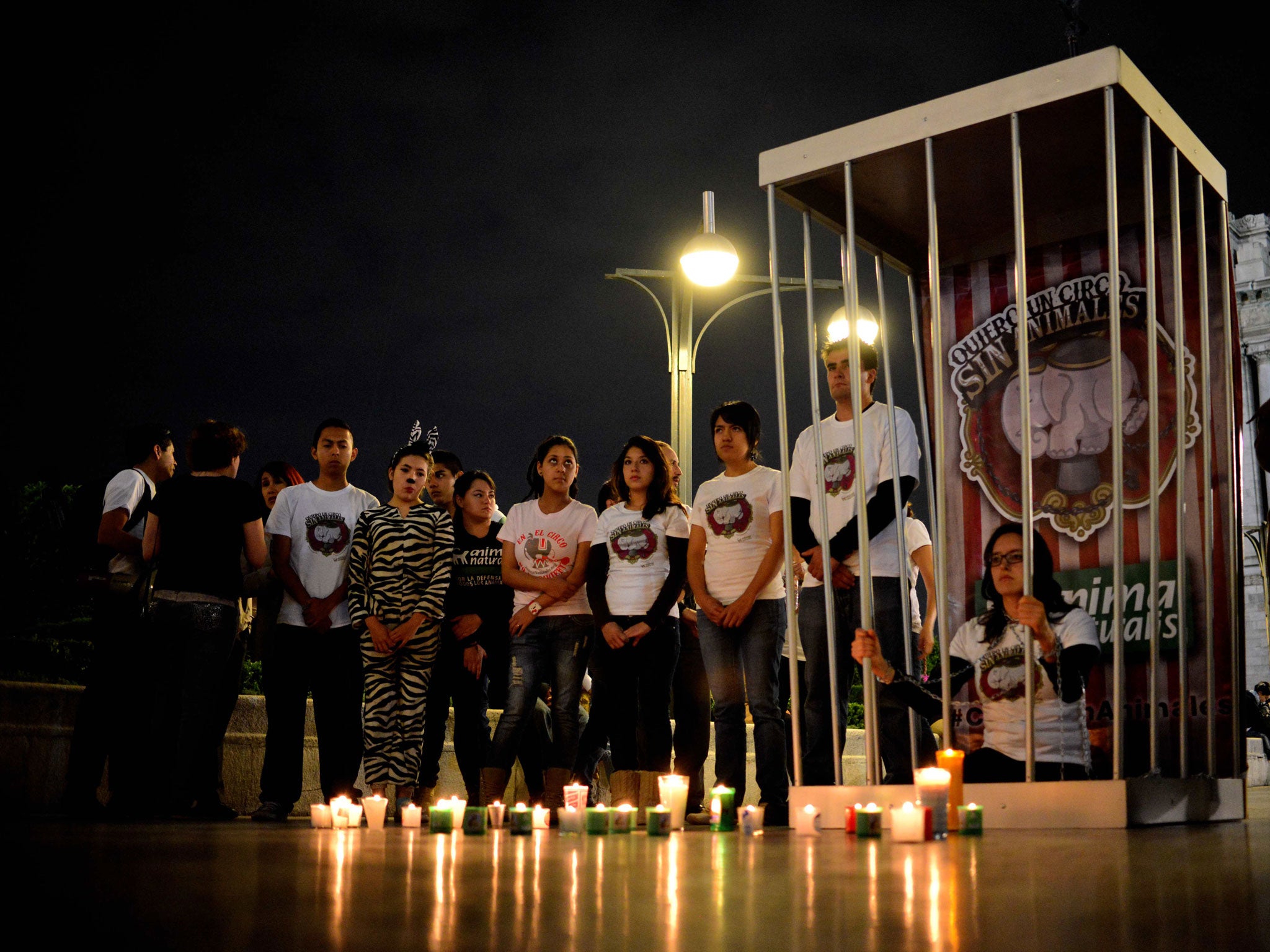 Mexico City protest against animals in circuses