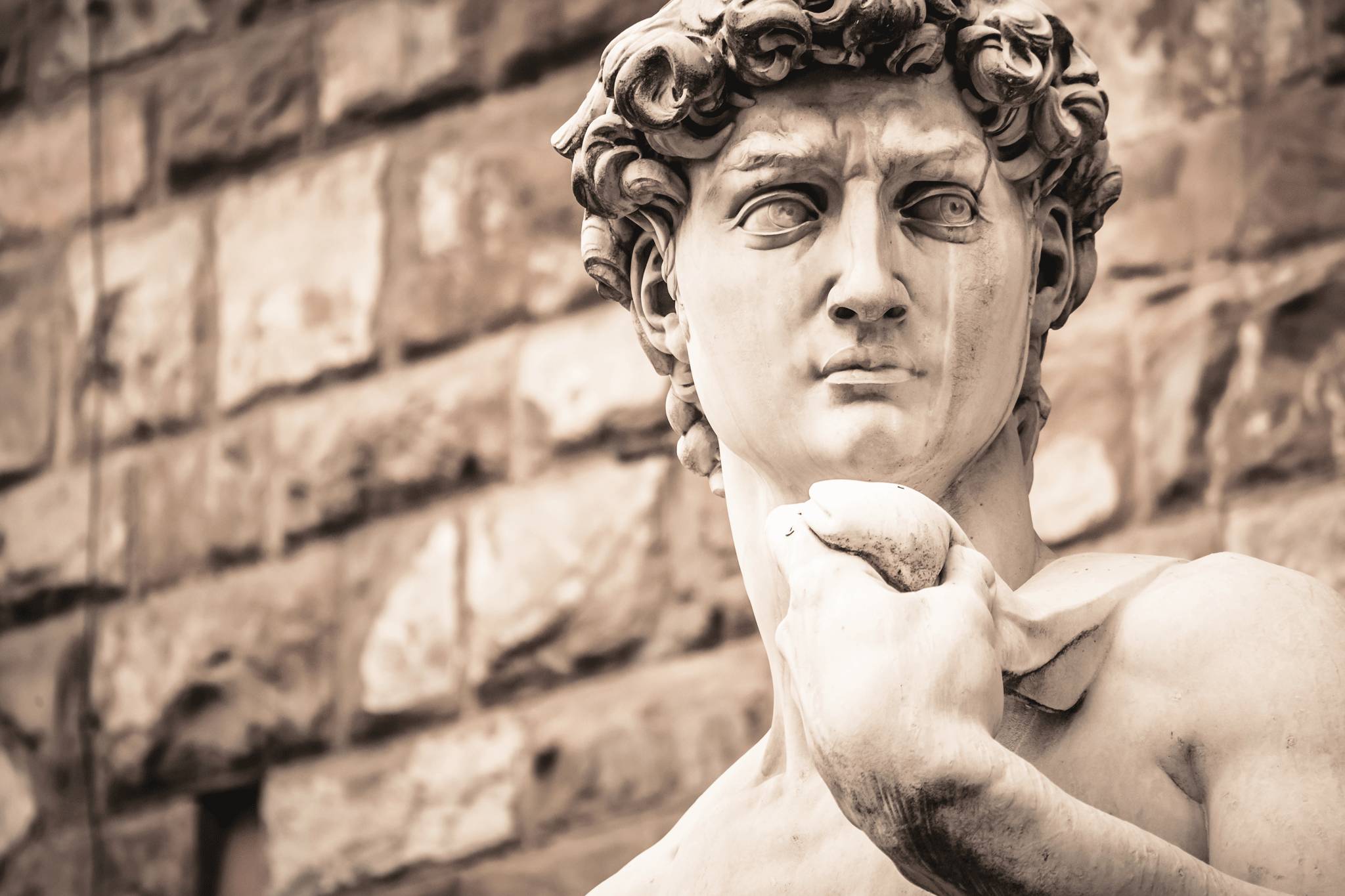 Michelangelo's David's literally chiselled good looks (Picture: Getty)