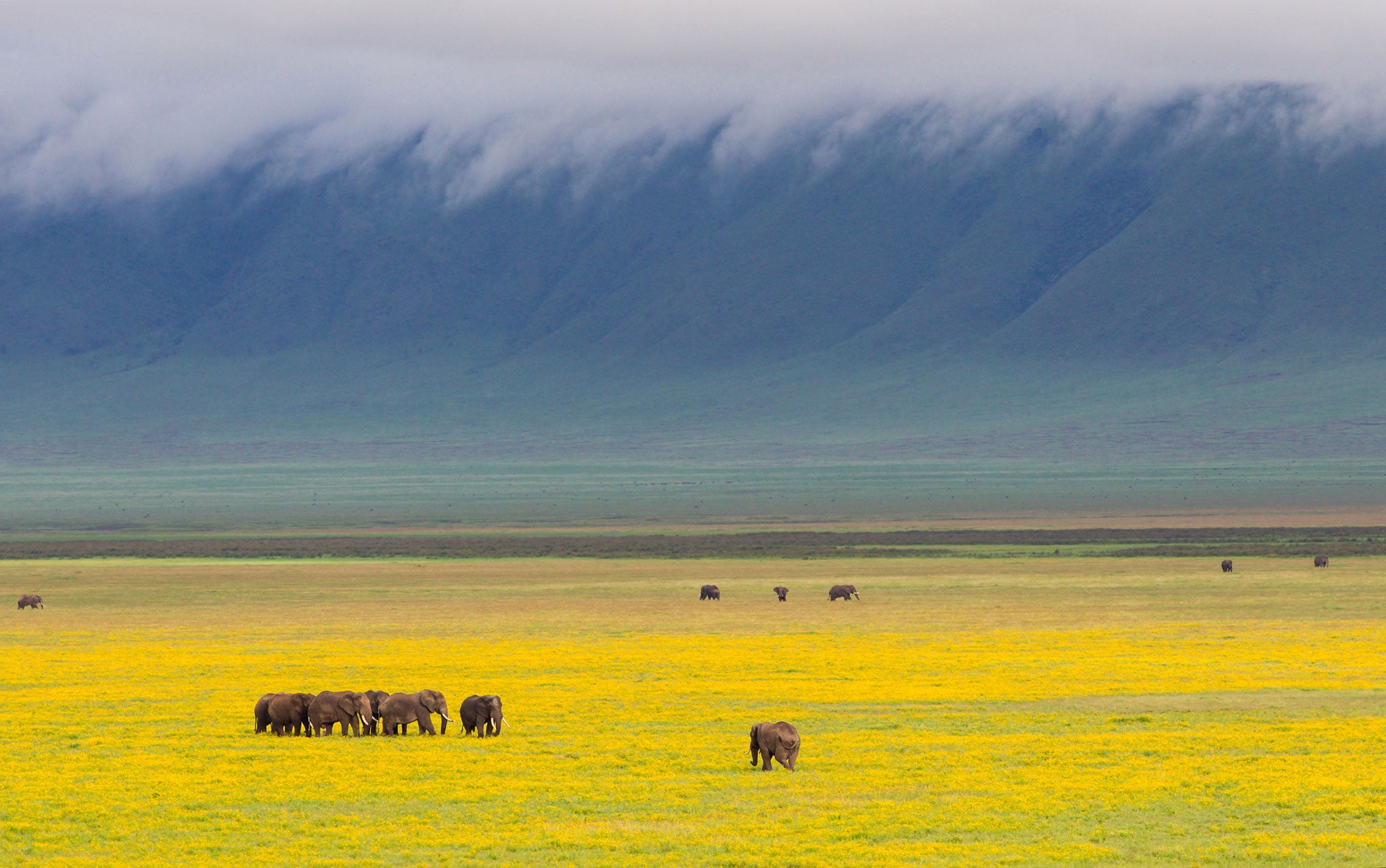 The stories of the World's Great Wonders