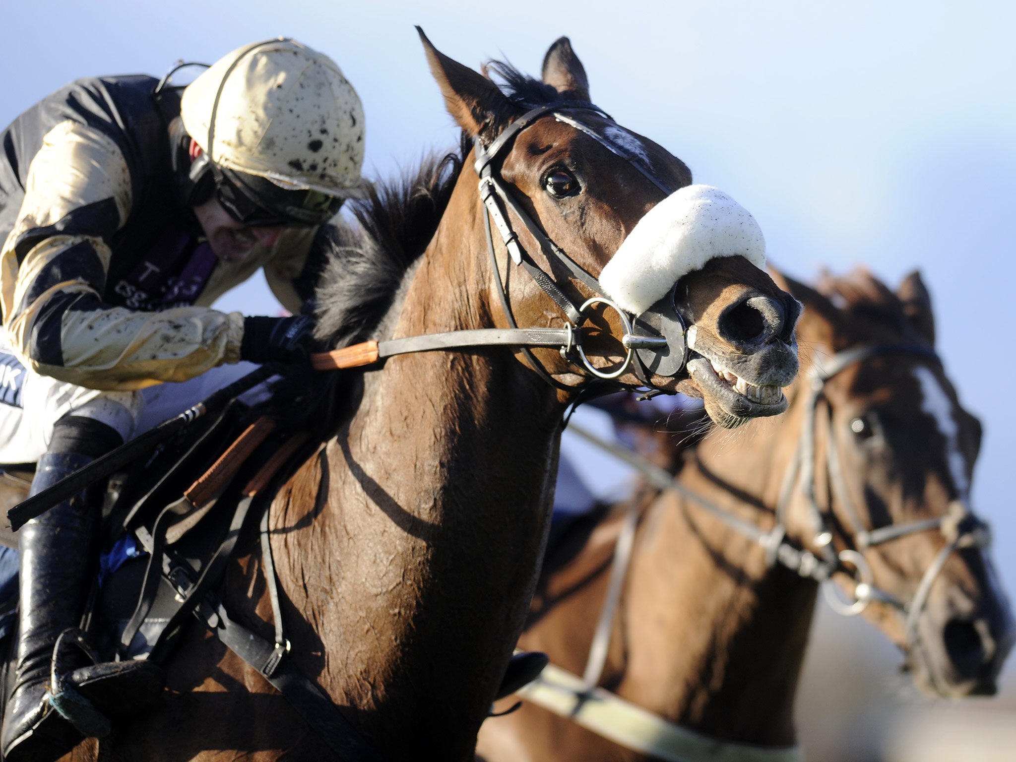 Ruby Walsh riding Tidal Bay clear the last to win The John Smith's Hurdle Race at Wetherby racecourse in November 2012