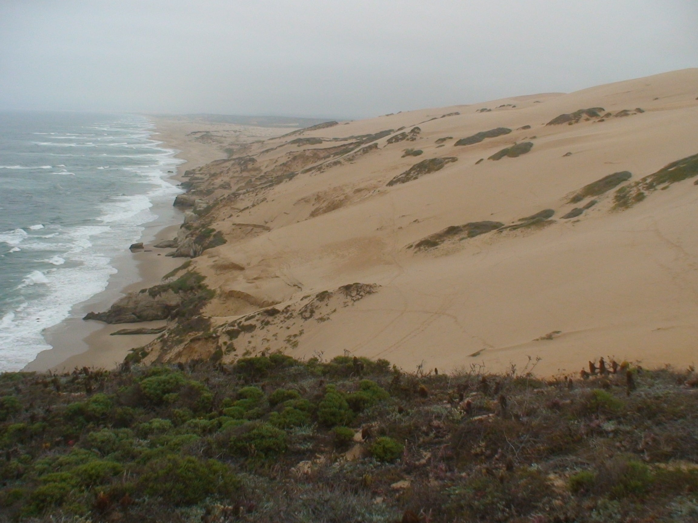 The man was among several people helping Pastor Maurigro Cervantes, baptise a man near the Guadalupe Dunes Preserve north of Santa Barbara.