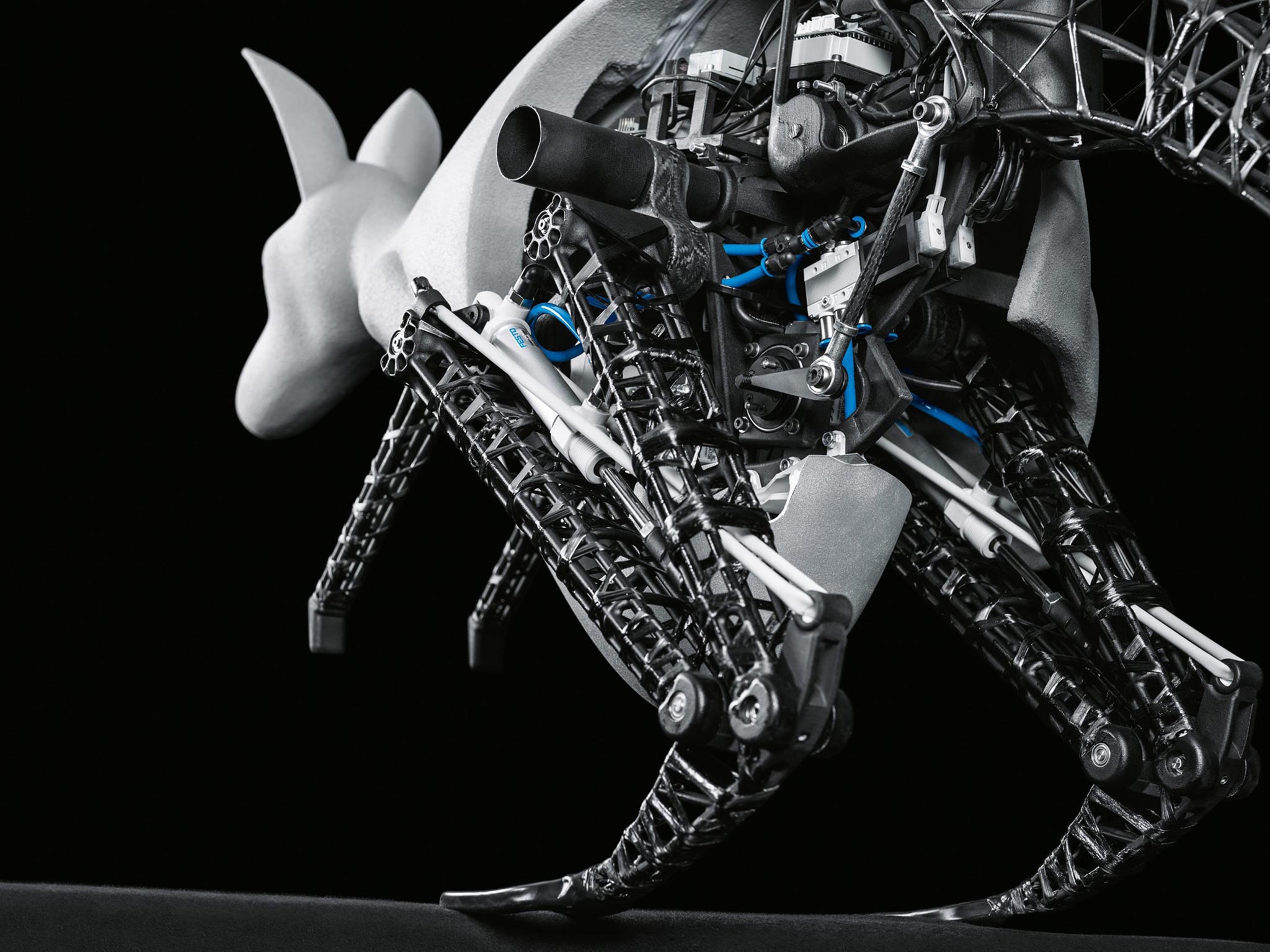 A 'Bionic Kangaroo' which can hop nearly a metre in a single bound developed by Festo