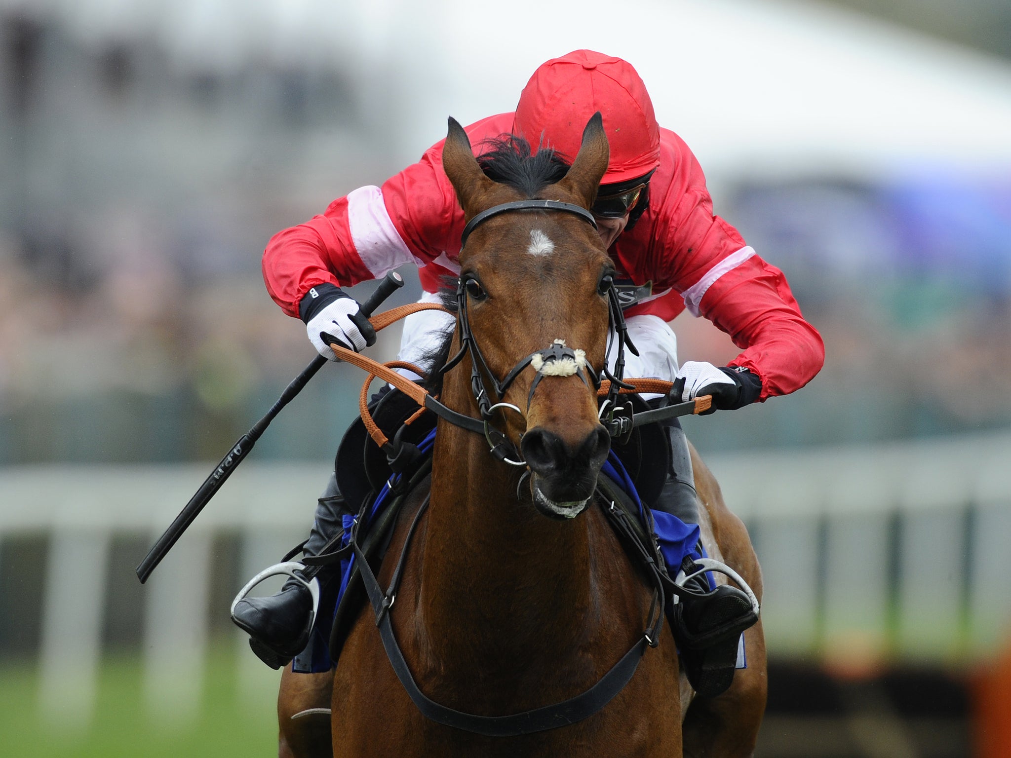 Tony McCoy riding Lac Fontana clears the last to win The Pertemps Network Mersey Novices' Hurdle Race at Aintree